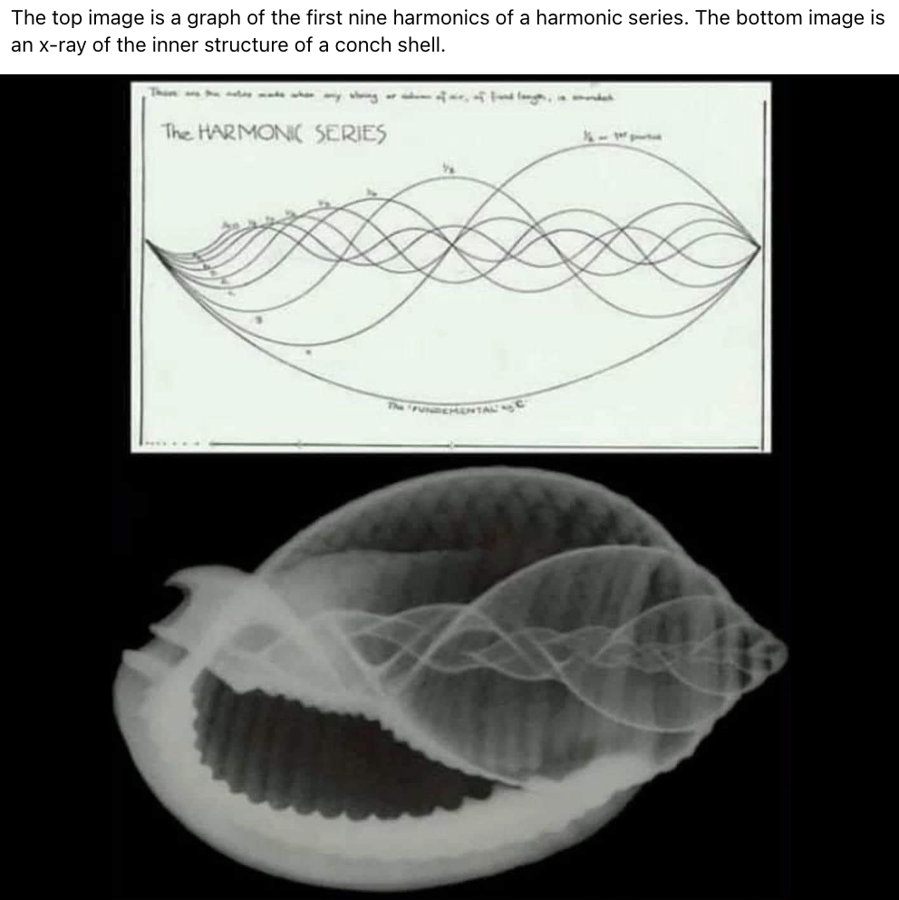 The meaning of the Spiral Pattern (and why we walk it)
