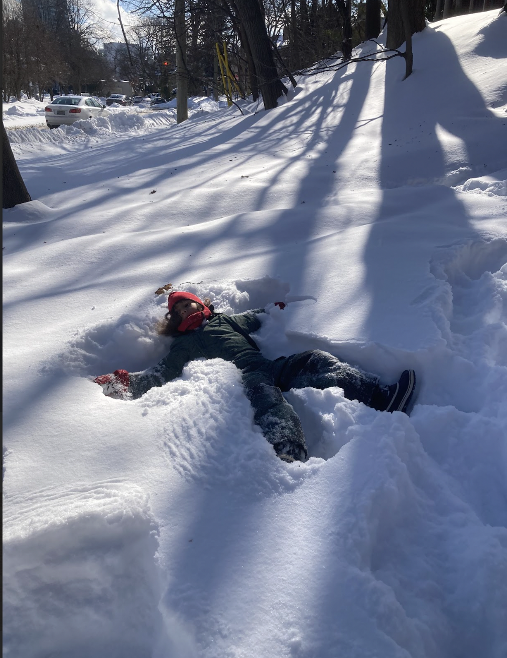 Screen Shot 2026-01-29 at 1.01.51 PM.png