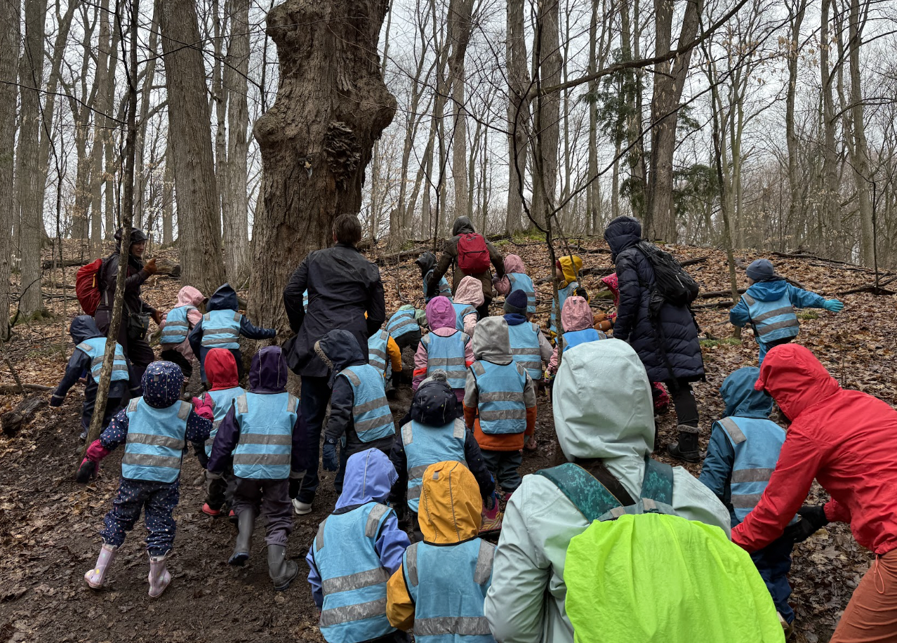 Screen Shot 2026-04-16 at 2.49.19 PM.png