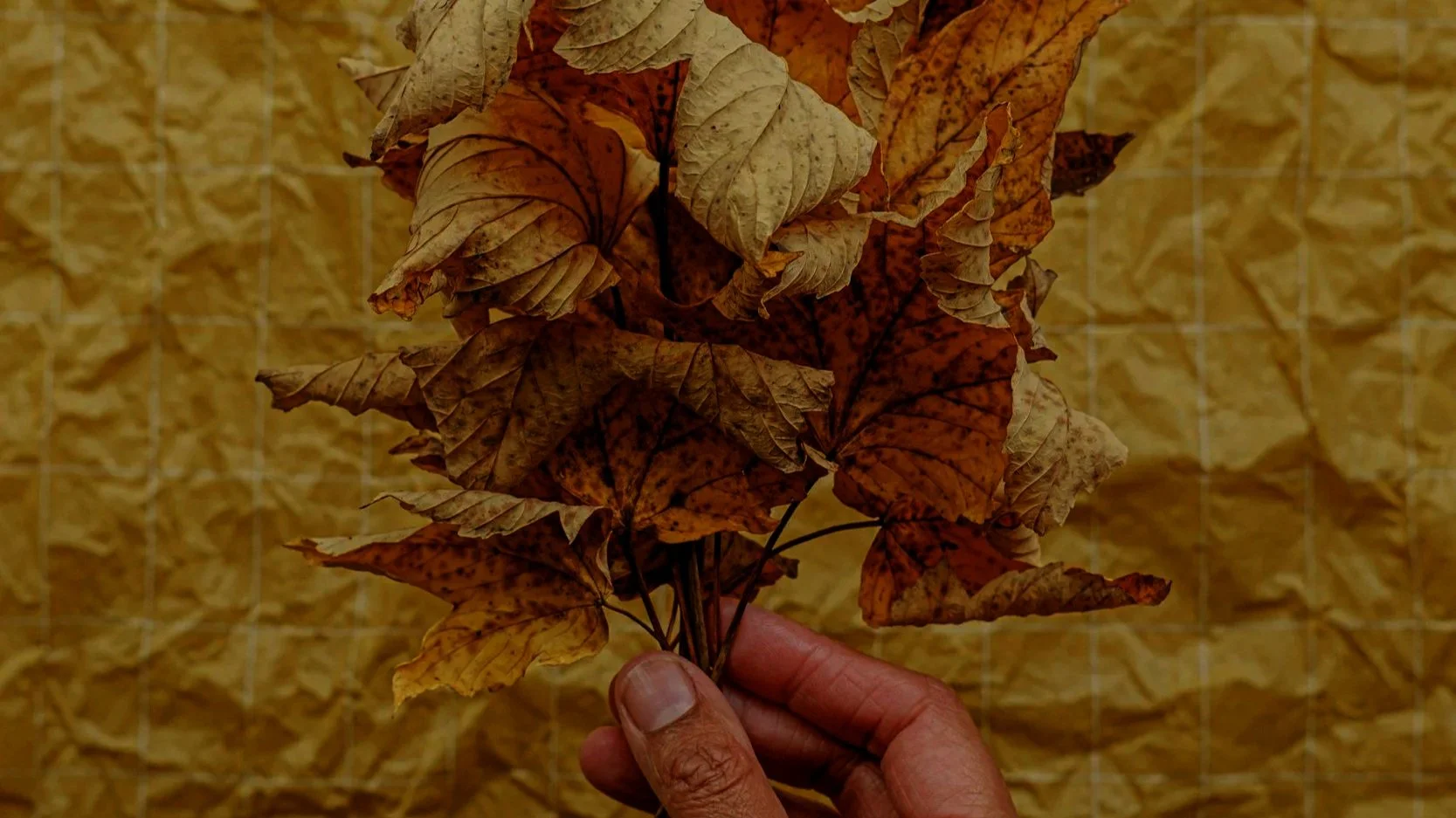 Brand Storytelling Content Ideas For September 