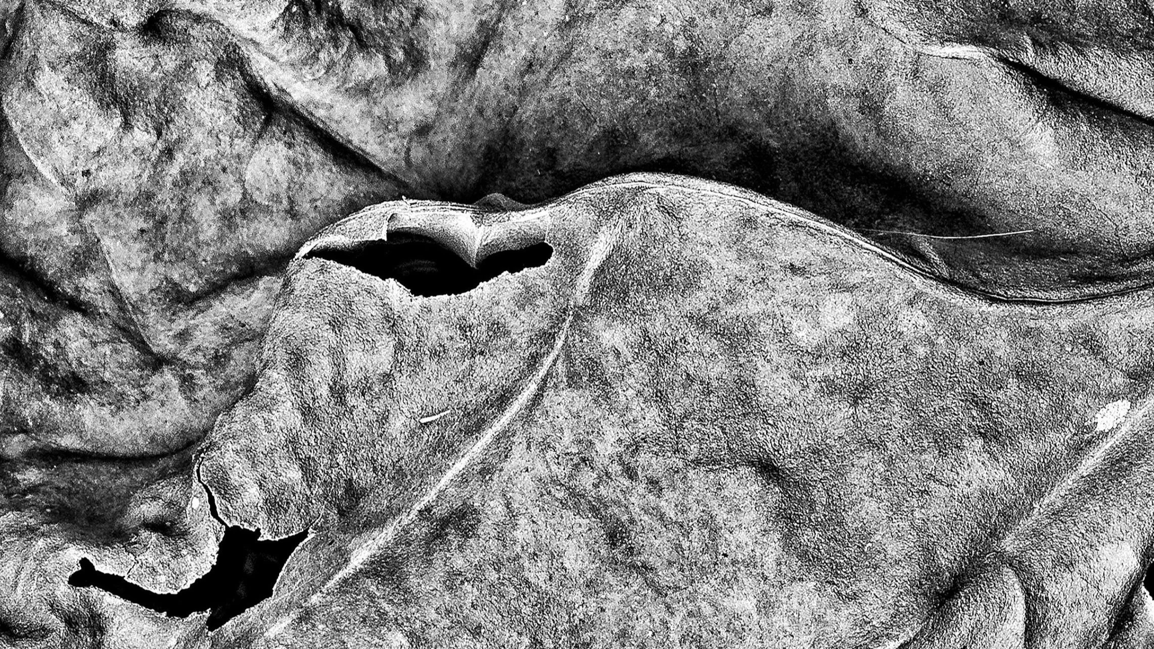 7-Sentence Storytelling Framework For Social Media 