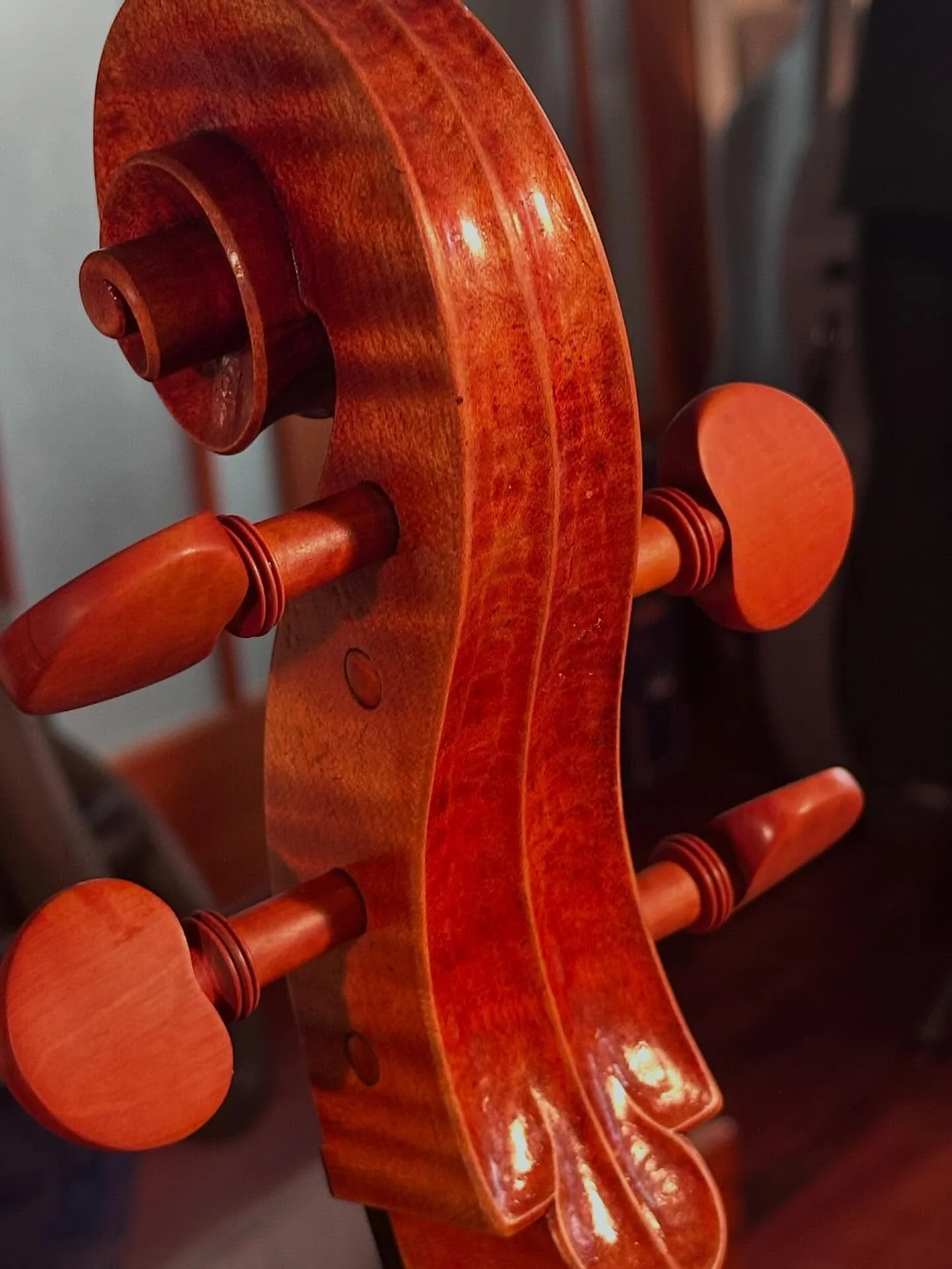 A few snapshots of the latest cello! Boston bound in a couple of weeks!