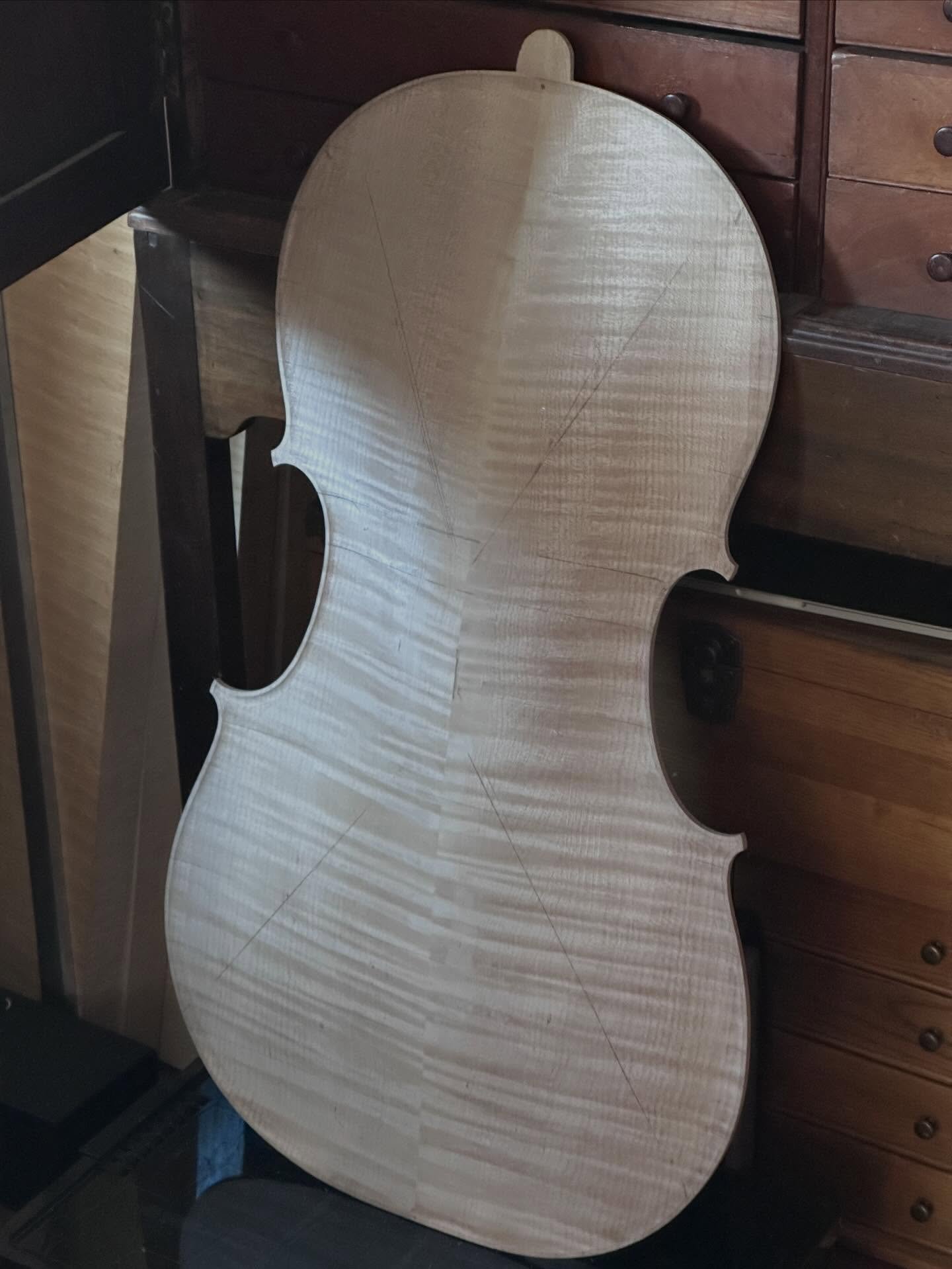 Next cello back