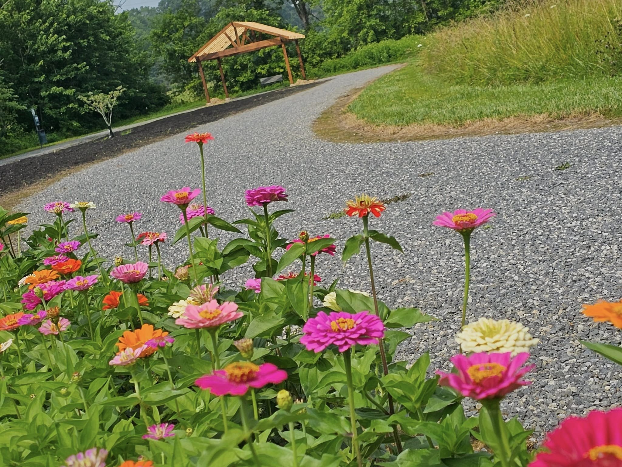 Sevierville, Tennessee, Pigeon Forge, Smoky Mountains, Rv Park & Resort, RV Campground, Cabins, Riverside, Little Pigeon River, Pool, Walking Trail, Pickleball, Bathhouse, Gaga Ball, Family friendly, Laundry Room, Washer and Dryers, Pickleball Courts