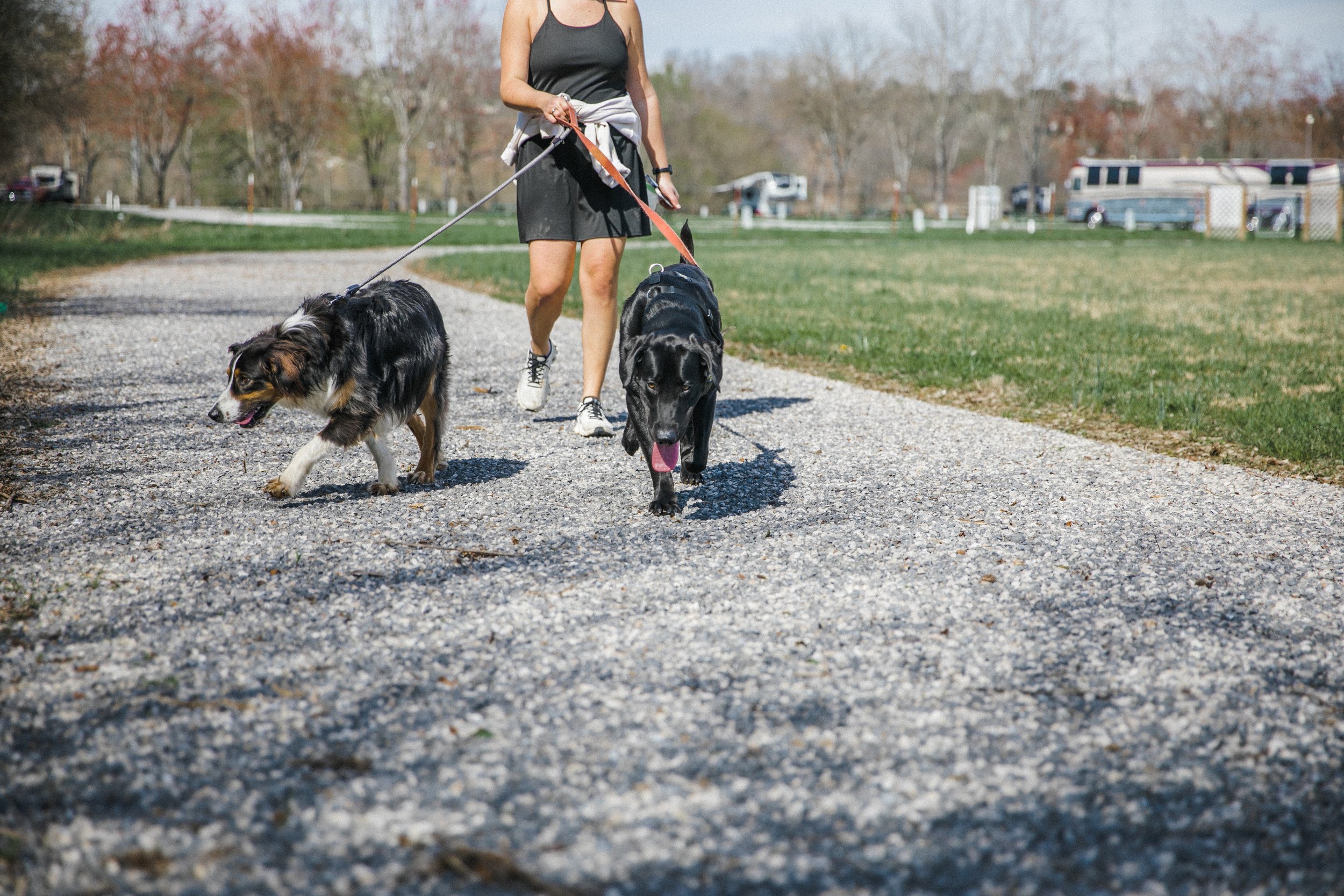 RV Park, Dog Park, Pet Friendly RV Park