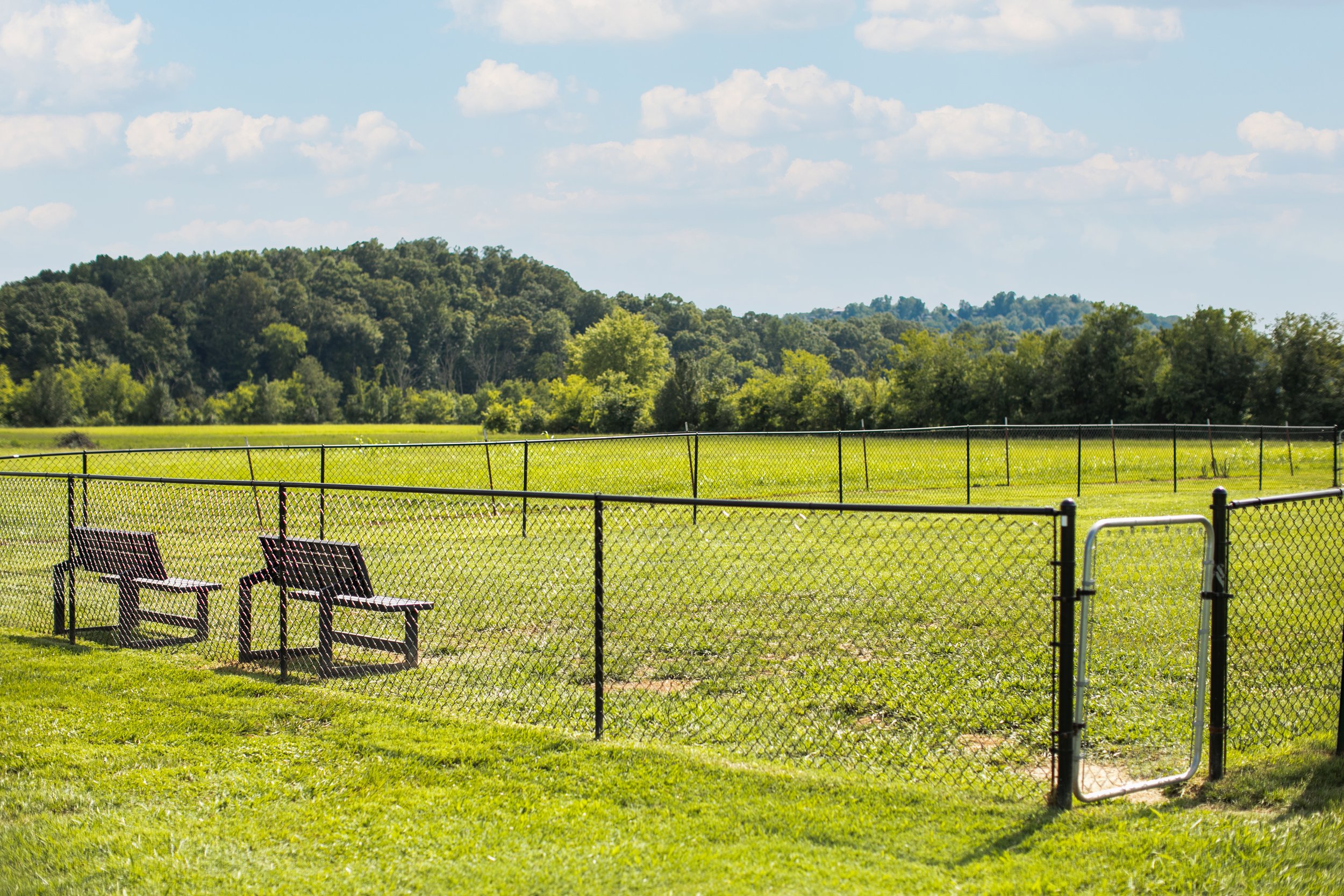 RV Park, Dog Park, Pet Friendly RV Park