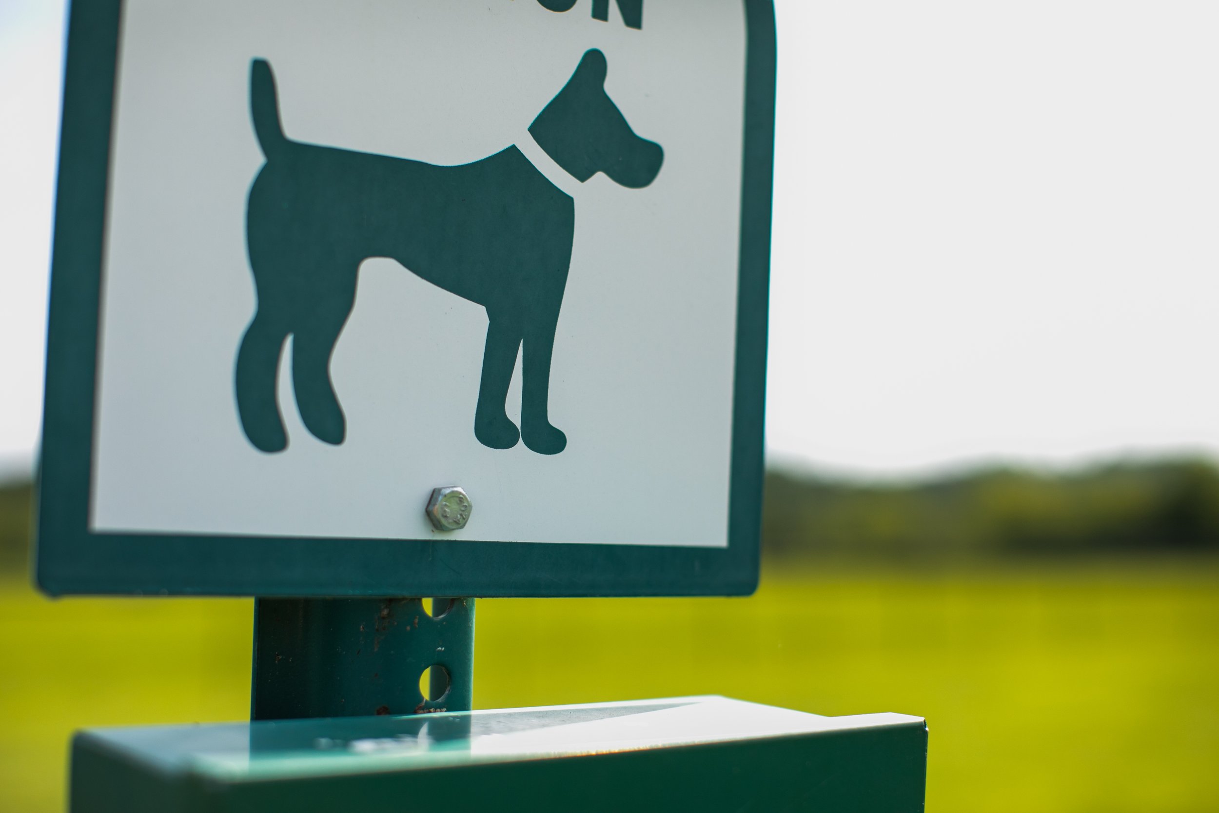 RV Park, Dog Park, Pet Friendly RV Park