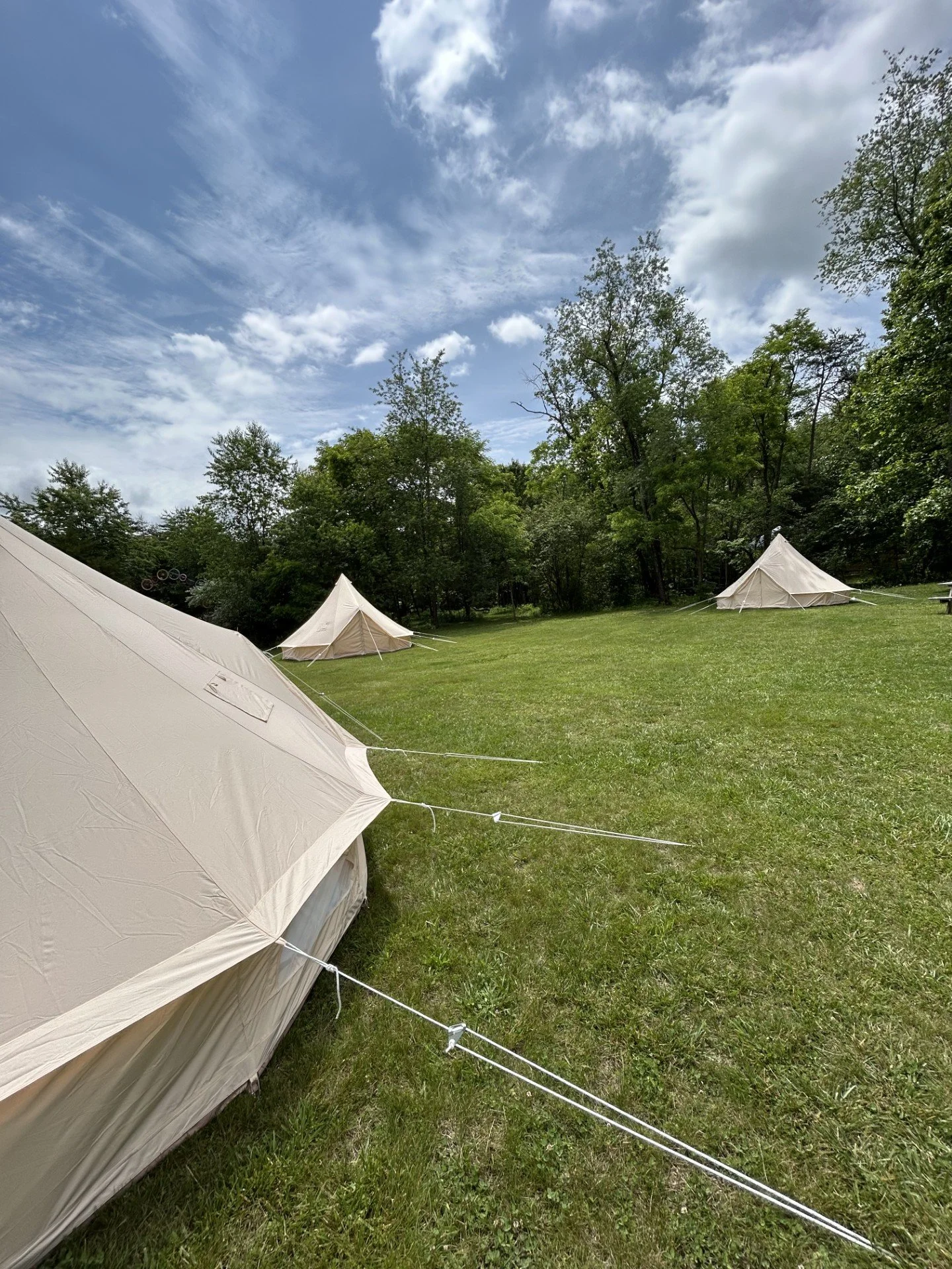 Multiple tent rentals arranged for a large outdoor event and guest accommodations in Virginia