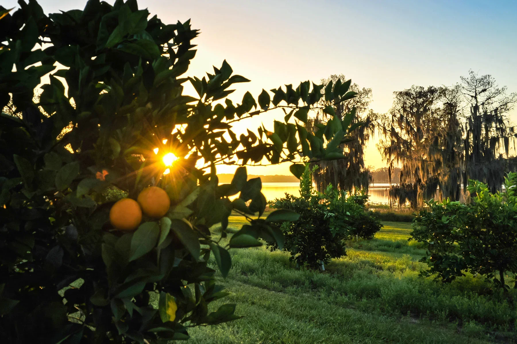 iStock_000055182360_Double4x6.webp