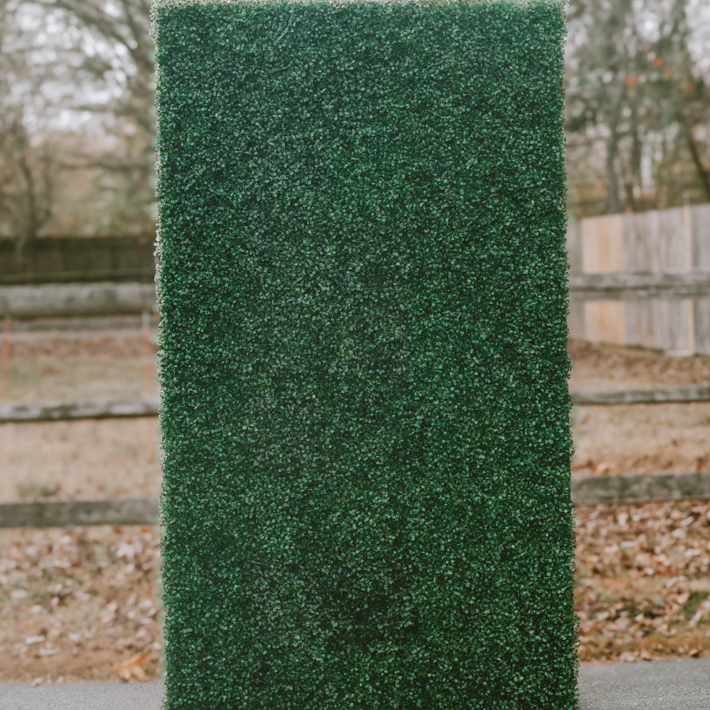 Greenery Wall
Size: 7FT by 4FT 
Color: Green
Price: $100 to rent 
Quantity: 1

