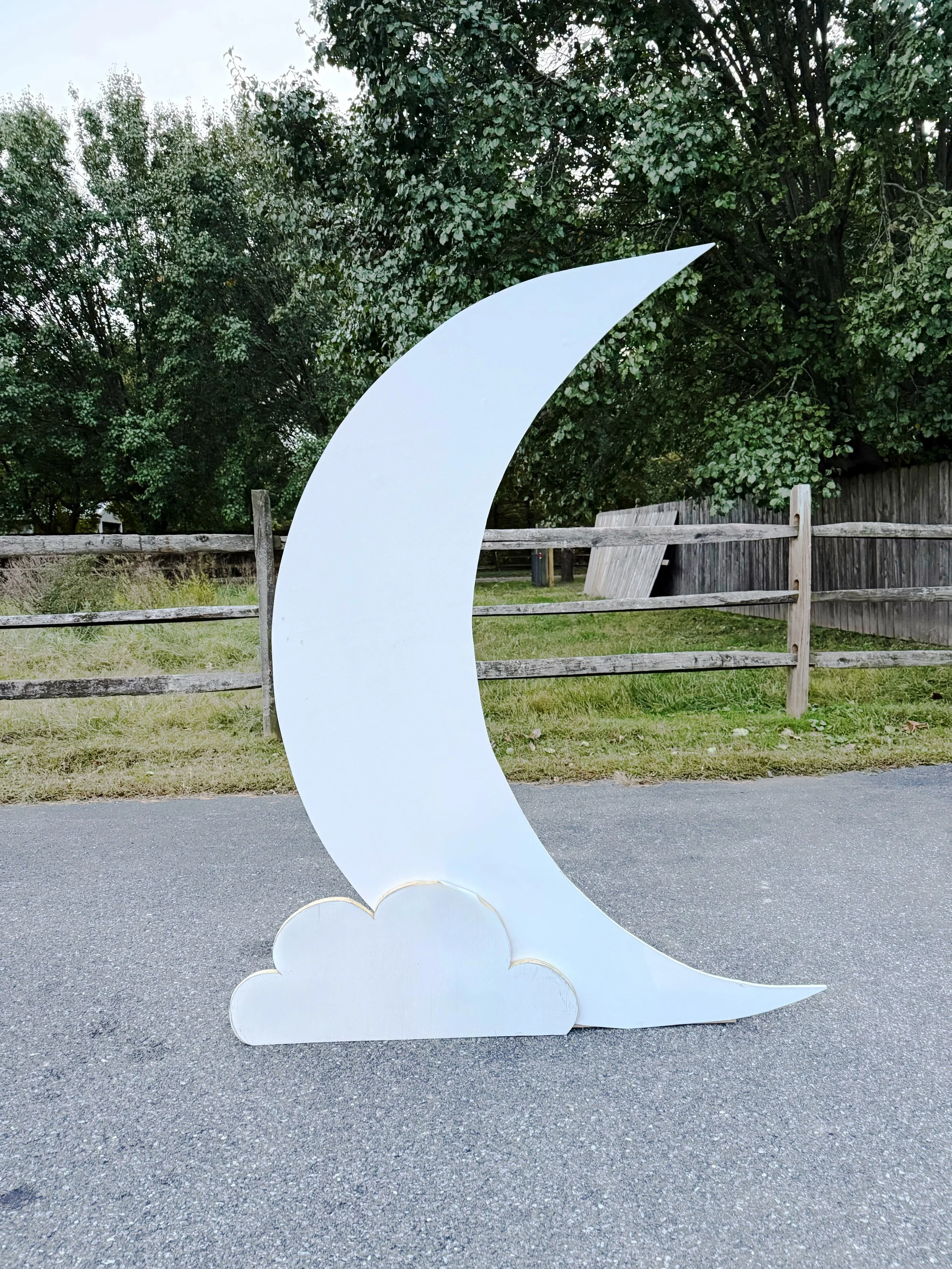 Moon and Cloud Backdrop