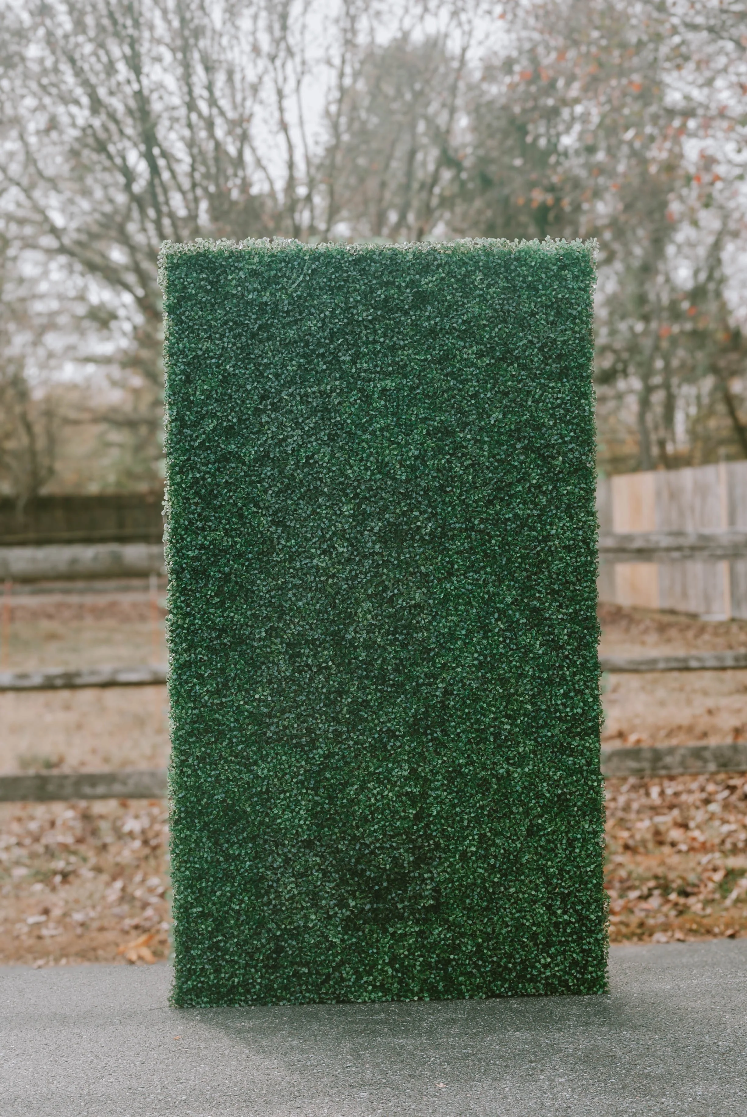 Greenery Wall
Size: 7FT by 4FT 
Color: Green
Price: $100 to rent 
Quantity: 1

