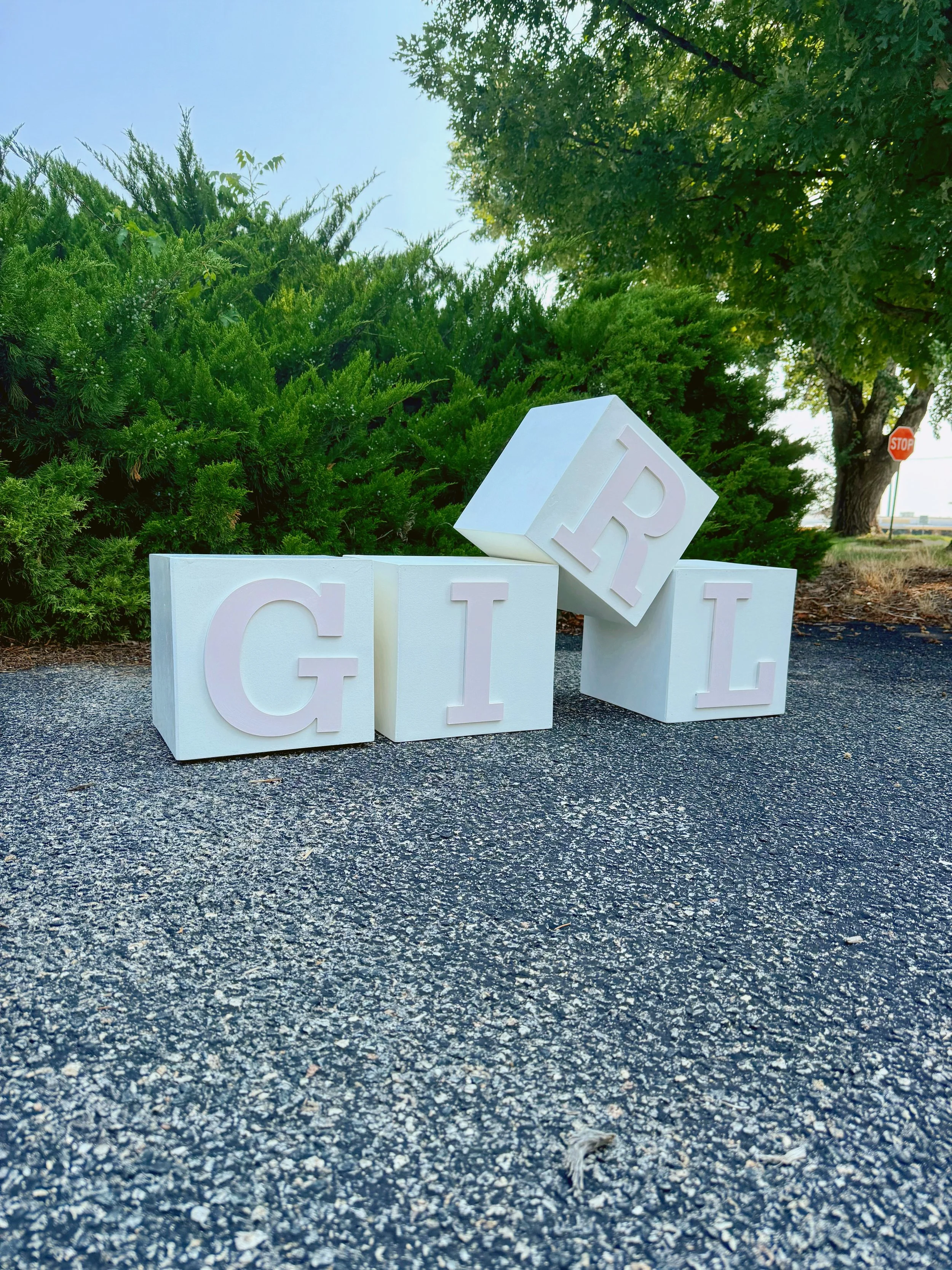 Girl Boxes:
Color: White Boxes with Light Pink Letters
Price: $80 to Rent