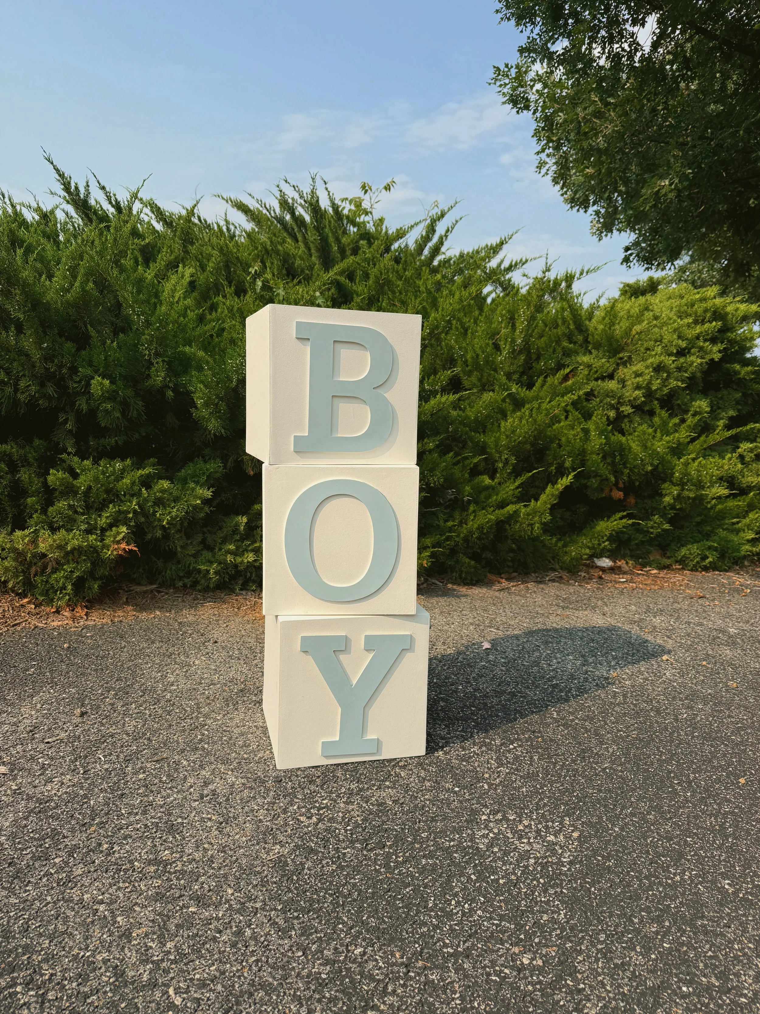 Boy Boxes:
Color: White Boxes with Baby Blue Letters
Price: $60 to Rent