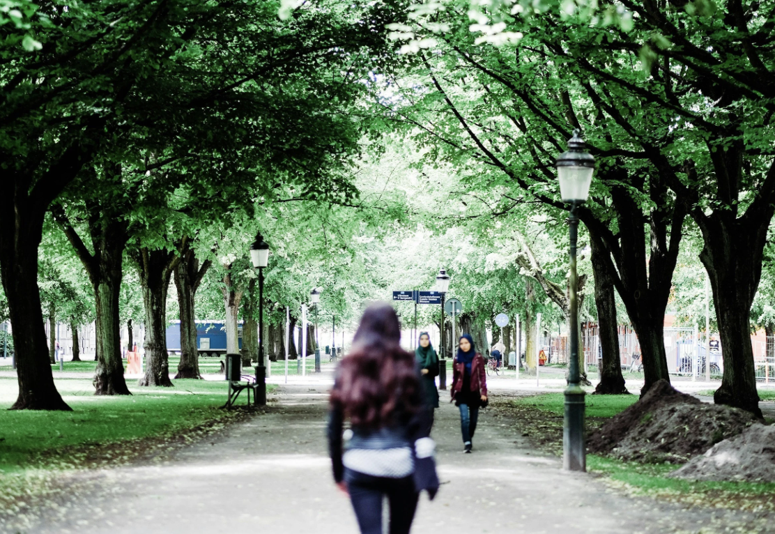 Is My College Student Developing an Eating Disorder? What Parents Often Notice First