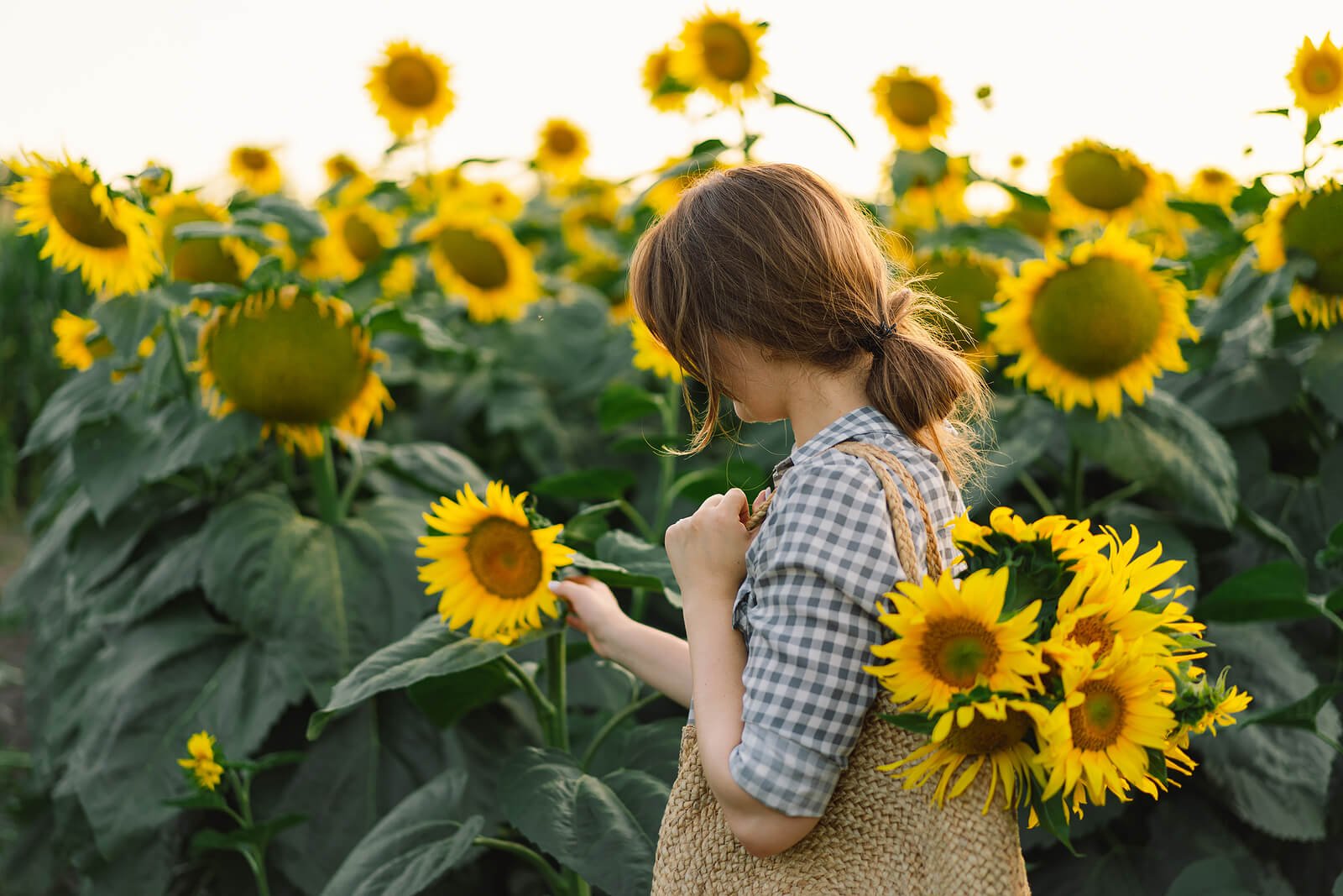 Therapy for Depression in Philadelphia