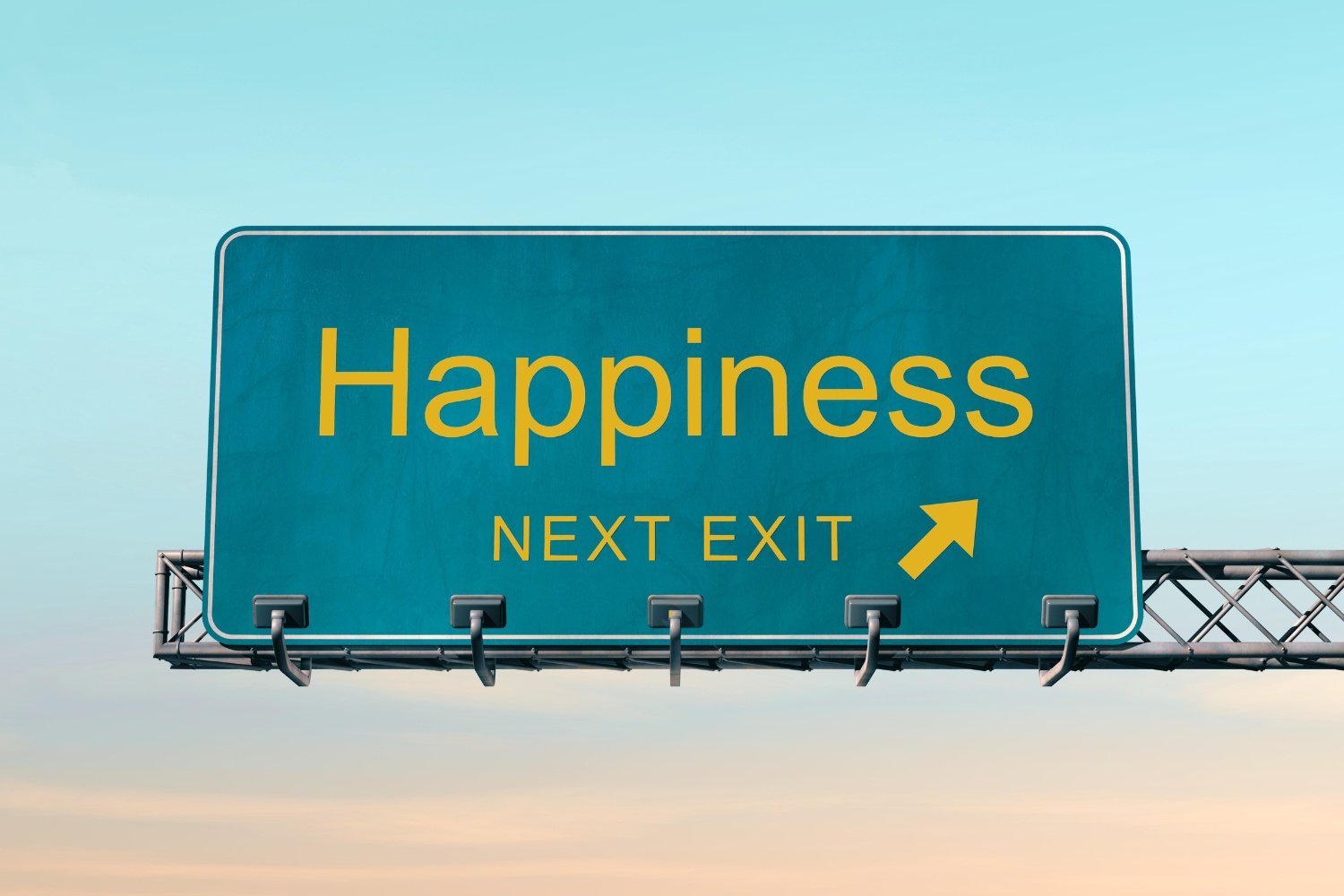 Road sign pointing to Happiness Exit
