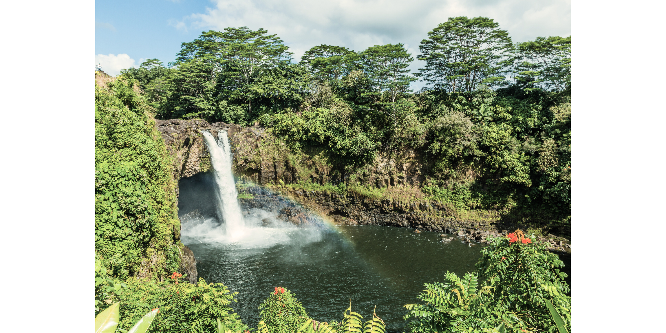 The Story Of Lono — Oils of Aloha