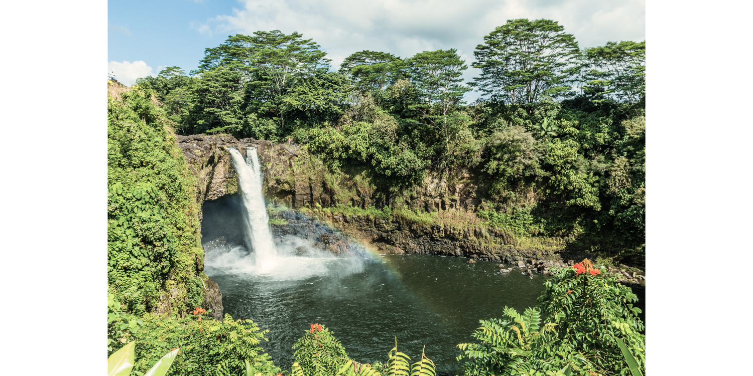 The Story Of Lono — Oils of Aloha