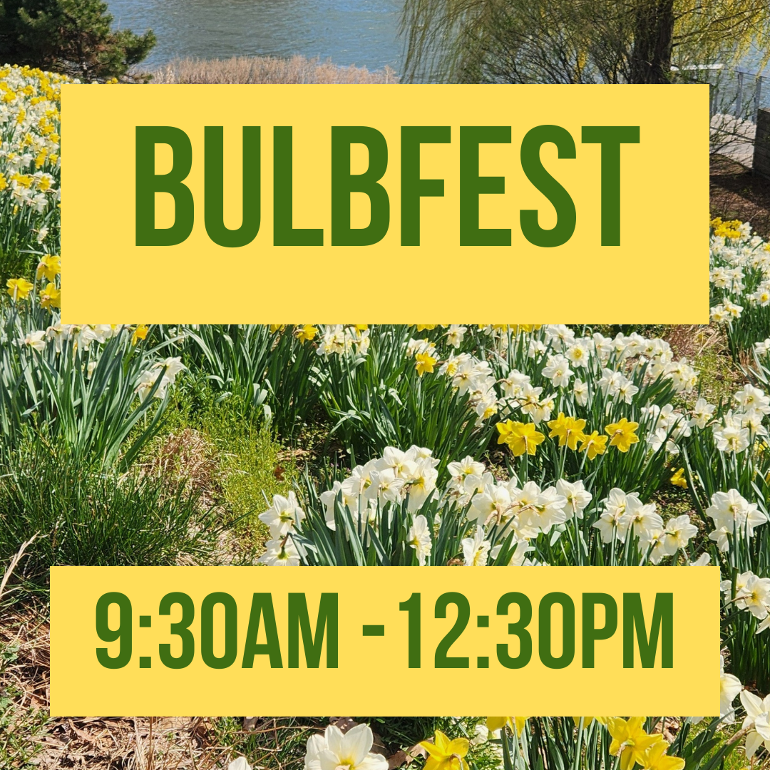 11th Annual Bulbfest