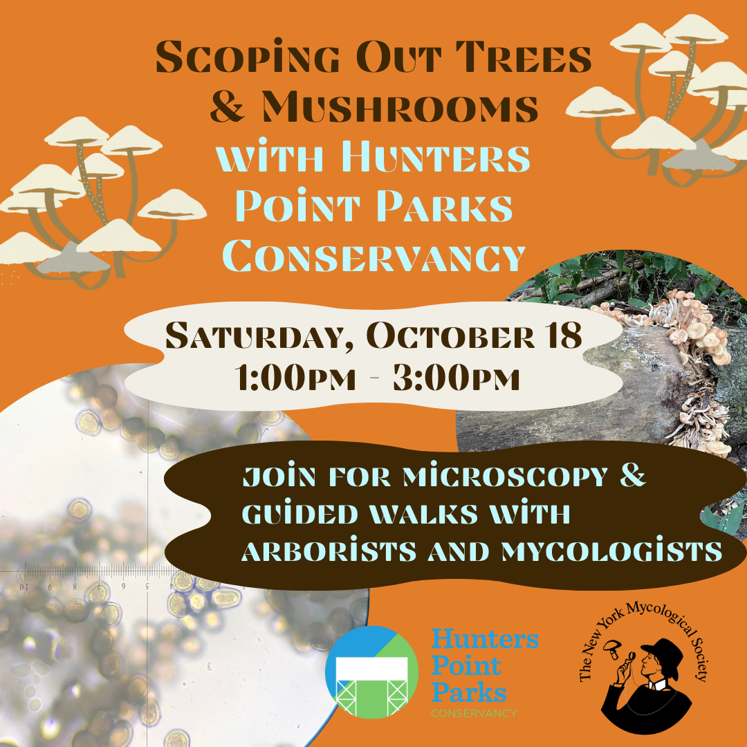 Scoping Out Trees & Mushrooms with HPPC