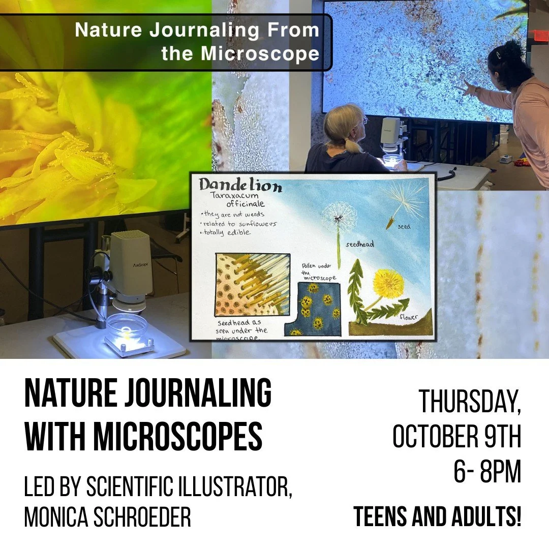 Discover the hidden beauty of the natural world with Hunters Point Park Conservancy&rsquo;s macro- and microscopes! Join our class this Thursday from 6-8PM at the Queens Landing Boathouse &amp; Environmental Center!

Guided by scientific illustrator 