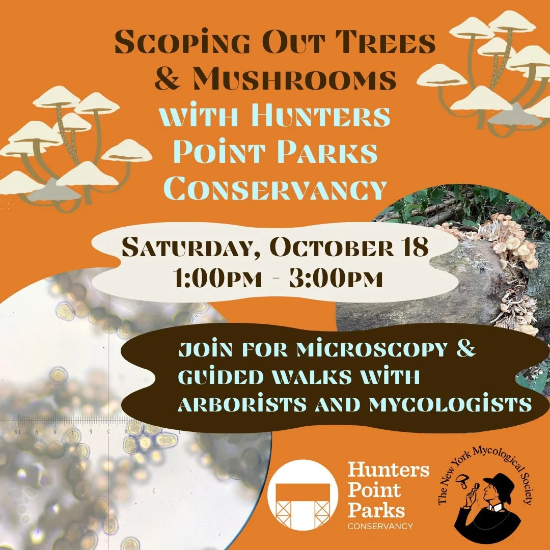 We are very excited to be partnering with the NYC Mushroom Network to host a mushroom and tree fall guided walk! We will be joined by arborists and mycologists as our walk leaders.

You can register for this walk on our Eventbrite- link in bio :)

De