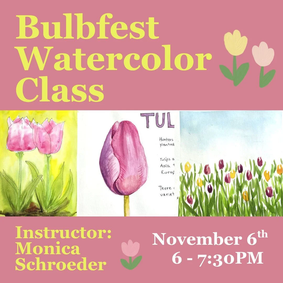 Bulbfest is coming up on November 1st and so is our Bulbfest Watercolor Class with instructor Monica Schroeder! 

This beginner-friendly class starts with a brief, fun presentation about the fascinating history and science behind flower bulbs. Then, 