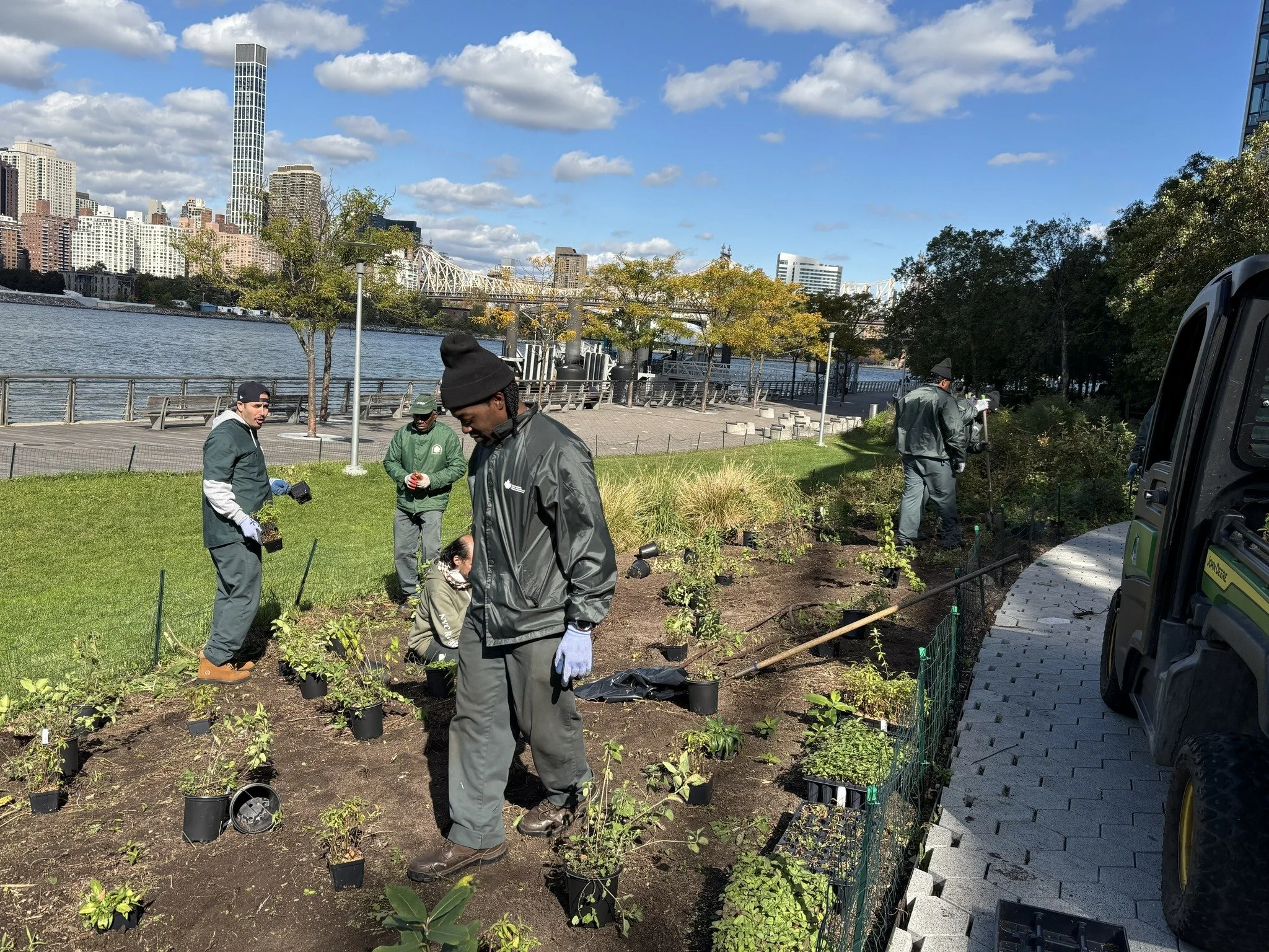HPPC is proud to announce that yesterday we funded the addition of 1,006 native plants in Gantry Plaza State Park. These plants were grown at a Long Island greenhouse and are native to the northeast, meaning they will take less maintenance to thrive 