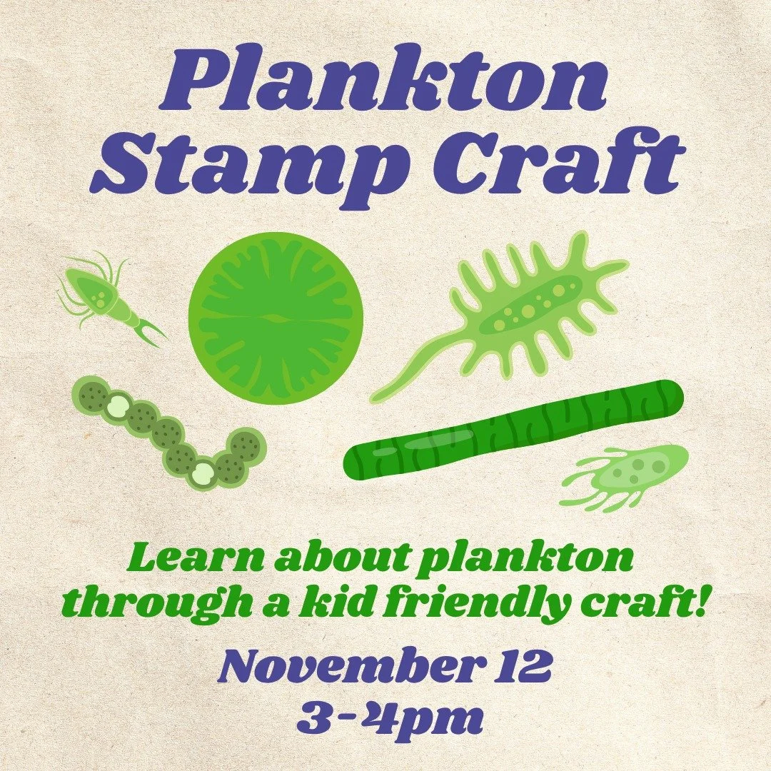 Join us this Wednesday for Plankton Stamping at 3-4PM!

This activity will include using vegetables and fruit and paint to stamp the structures of different types of plankton! This is a great way for students to learn more about zooplankton and phyto