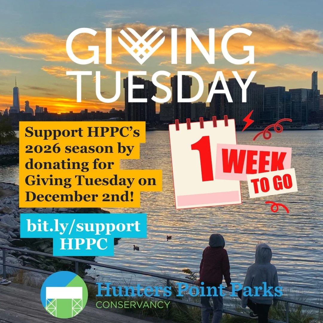 We are one week away from Giving Tuesday!

Your support helps us continue our free public programming, park beautification and resilience projects, and more.

Support your local parks by making a donation at bit.ly/supportHPPC or via the link in our 