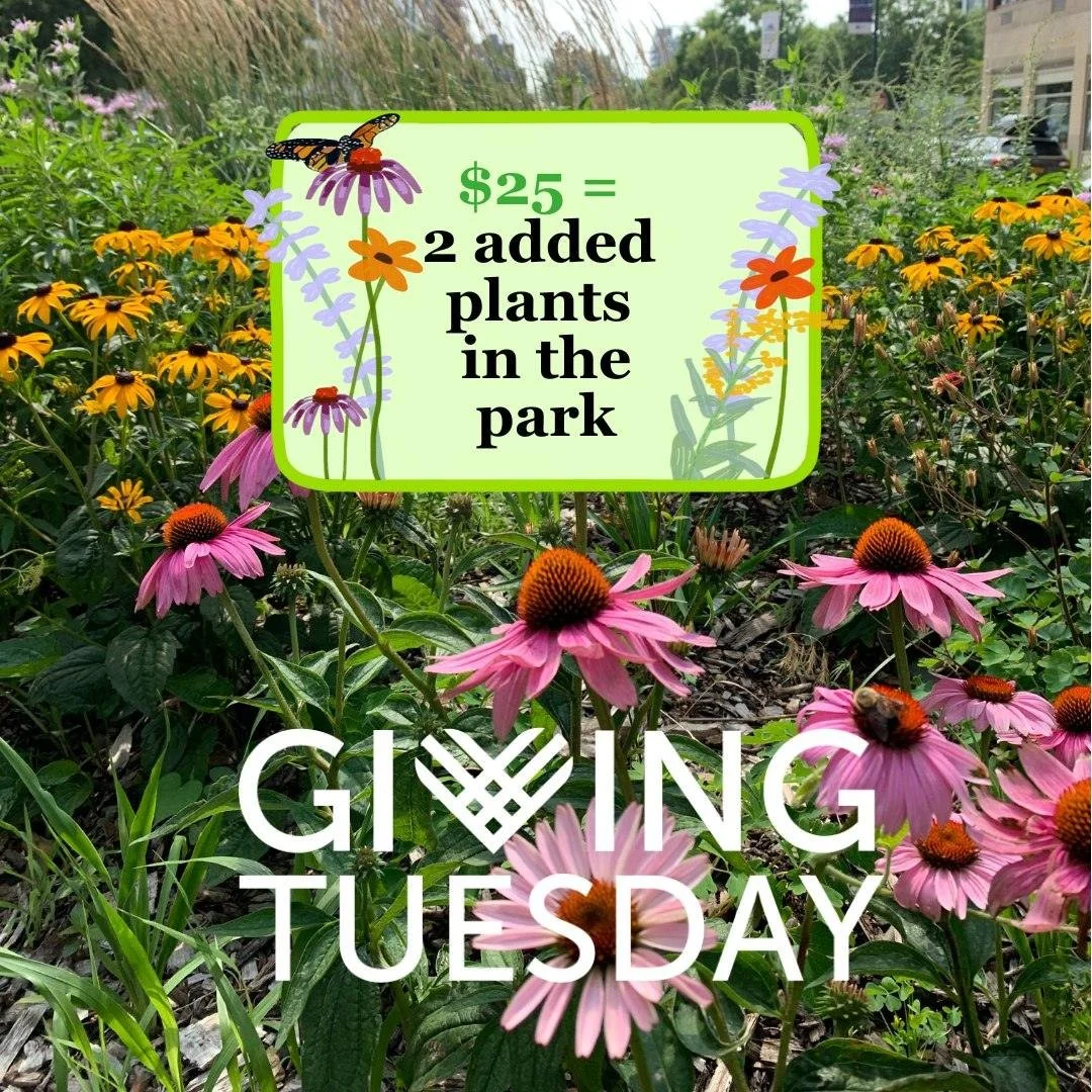 Today is Giving Tuesday!

Your support helps us continue our free public programming, park beautification and resilience projects, and more.

Support your local parks by making a donation at hunterspointparks.org or via the link in our bio.

If you'r