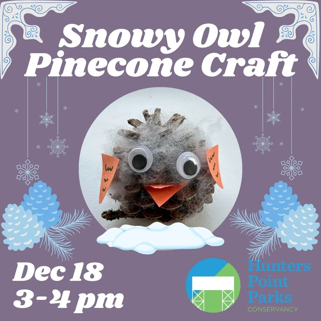 Join us at the Queens Landing Boathouse &amp; Environmental Center for a fun winter craft! We will be making snowy owl figurines with real pine cones.

All materials are provided and all ages are welcome.

You can register on our Eventbrite - link in