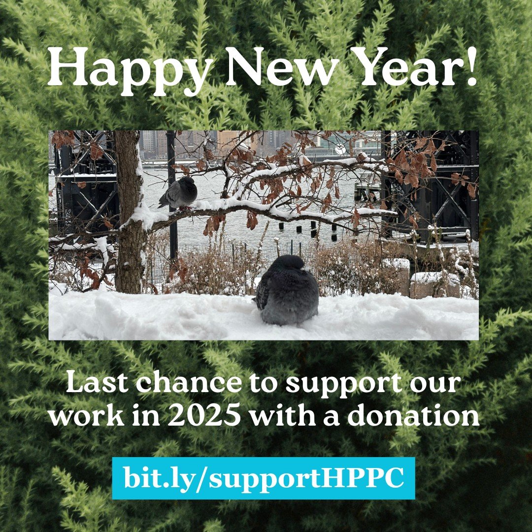Happy New Year!

Help us make 2026 amazing with more free public programming, education events, native plantings, and more! 

Your support helps us continue our free public programming, park beautification and resilience projects, and more.

Support 
