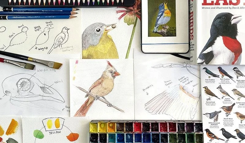 Watercolor Winter Birds: An Art & Science Workshop