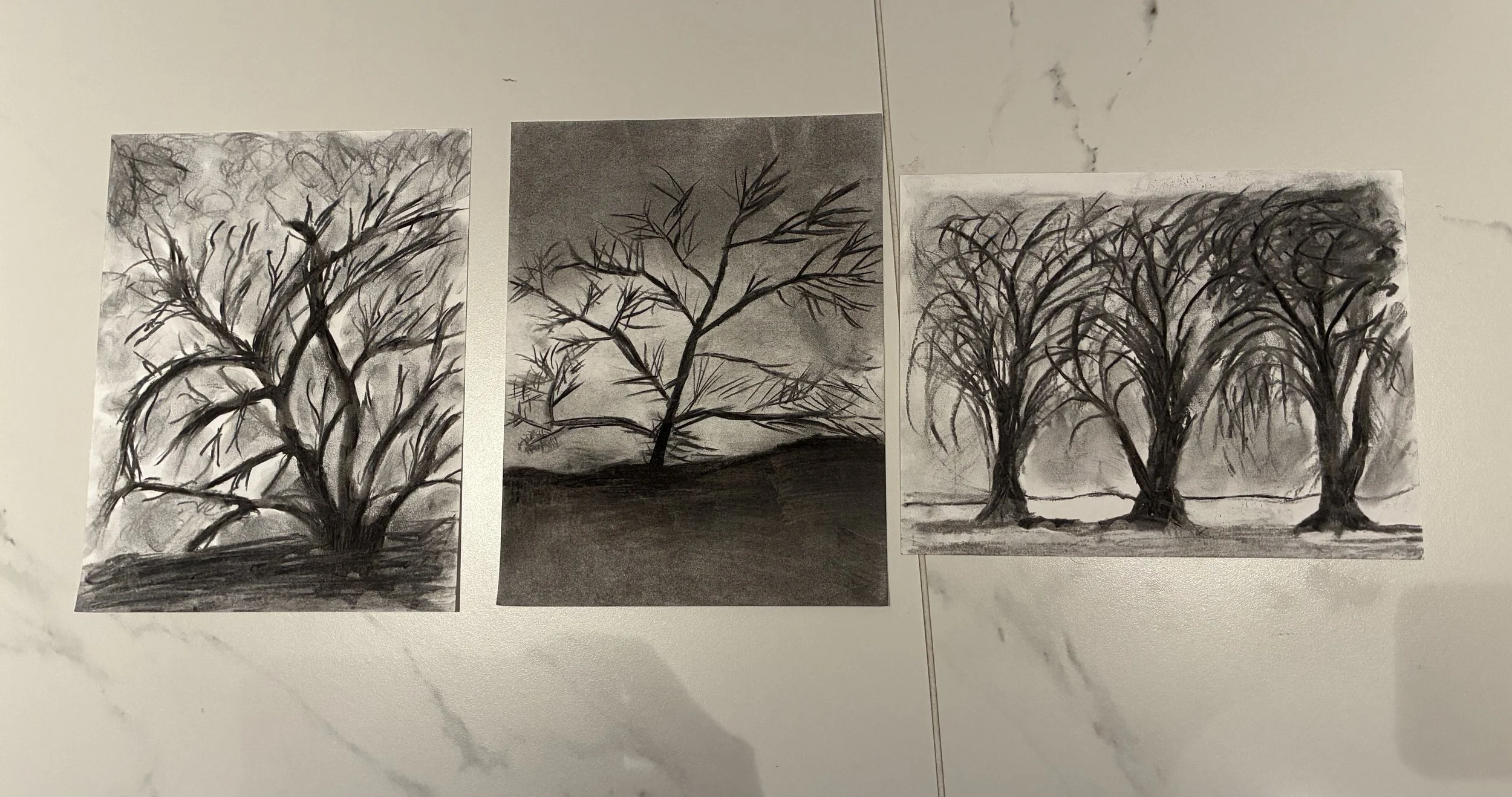 Winter Tree Charcoal Drawing Class