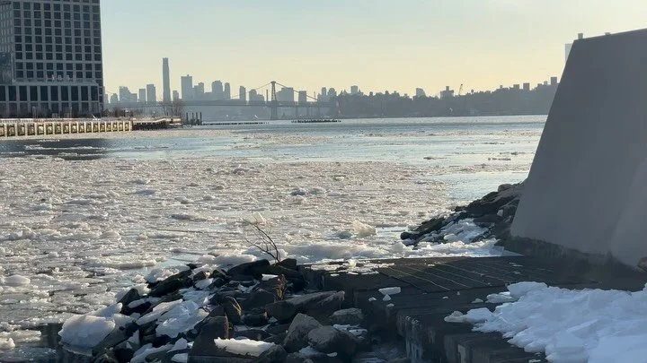 We have been seeing a lot of ice covering our NYC waterways this winter. If you been wondering how the fish survive in these conditions- here is a little information about their winter survival tactics!

Fish adapt to these freezing temperatures in a