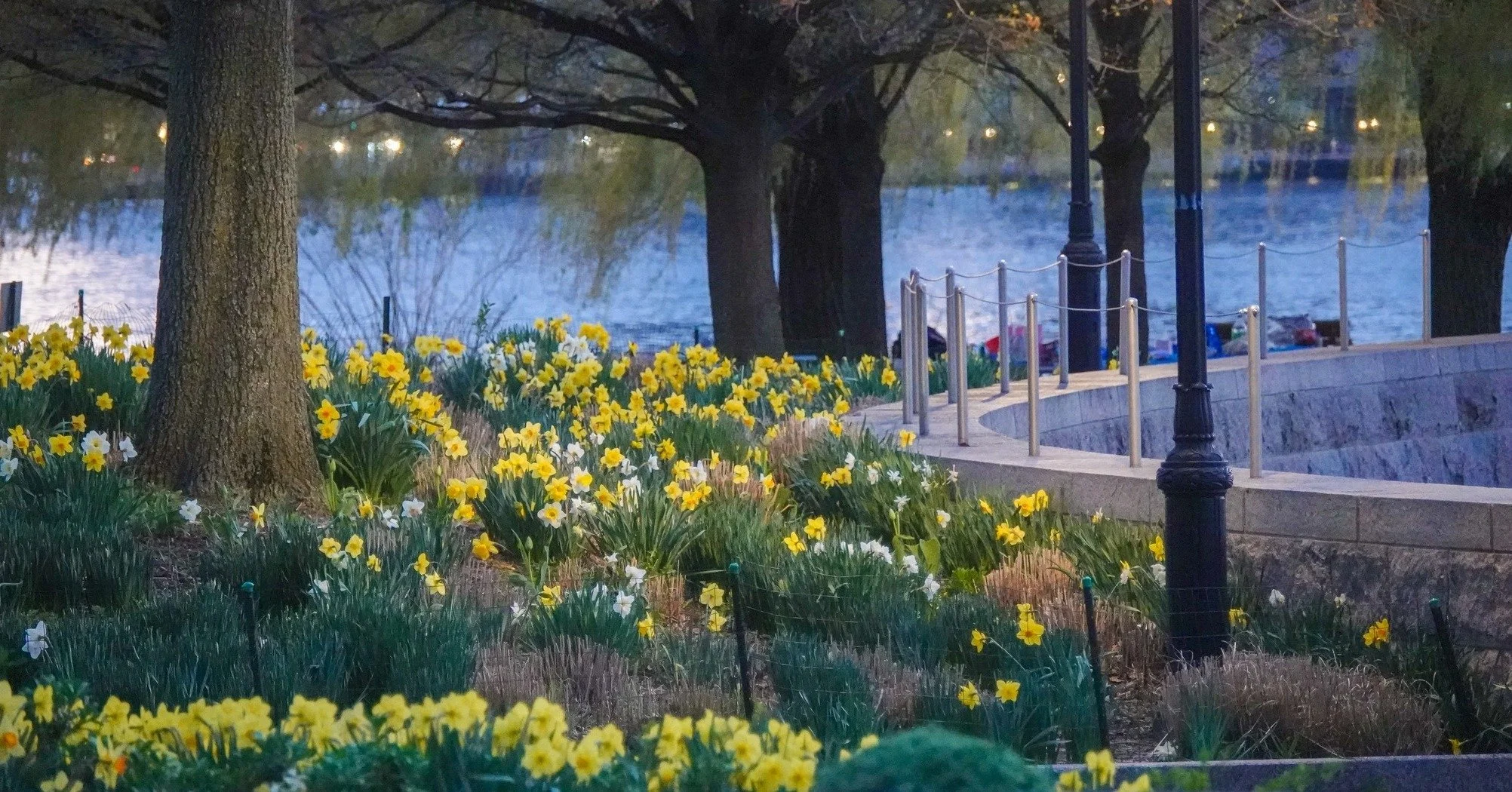 Some recent park photos by @speliotisvideo ! Visit our spring blooms :)