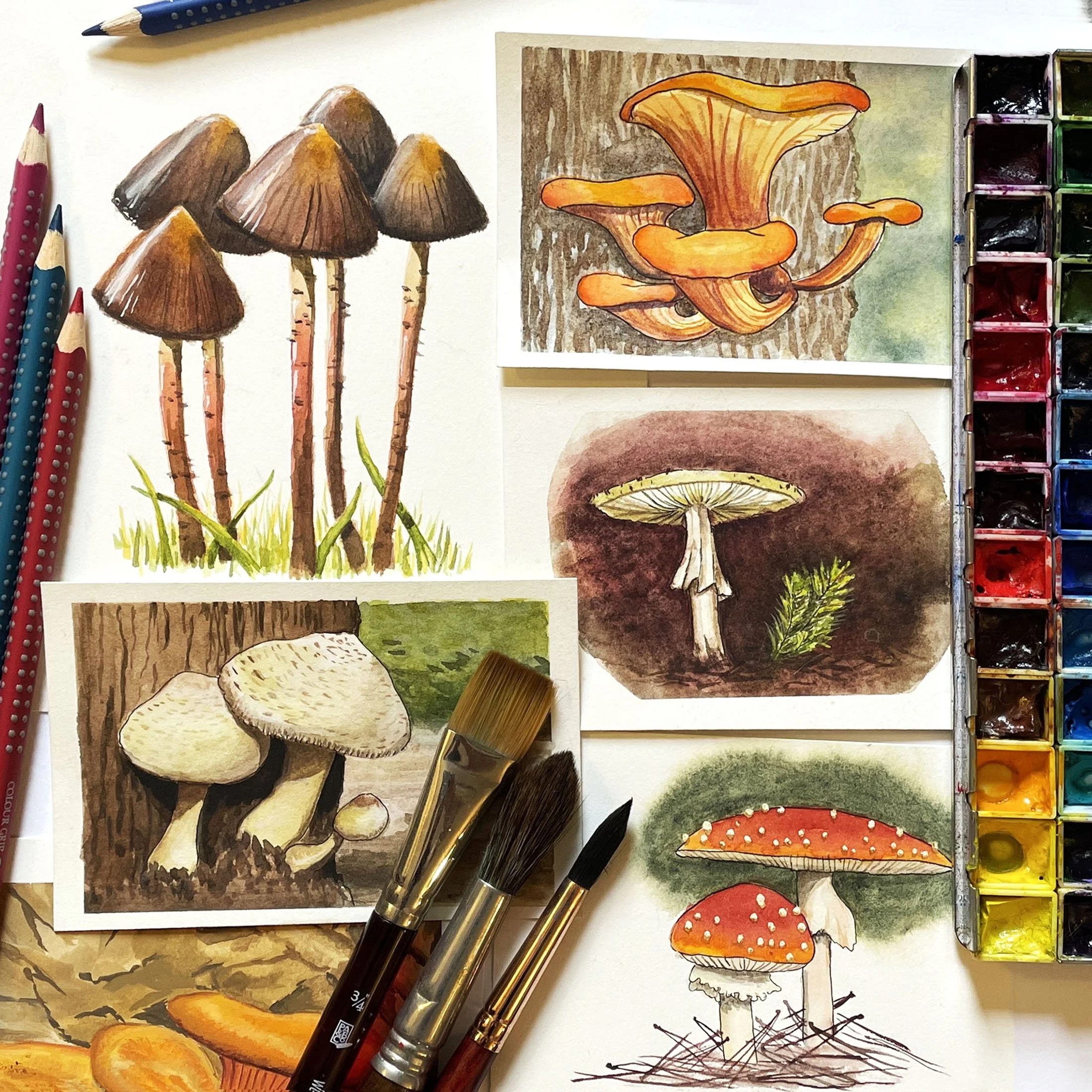 Fungi &amp; Watercolor: An Art + Science Workshop