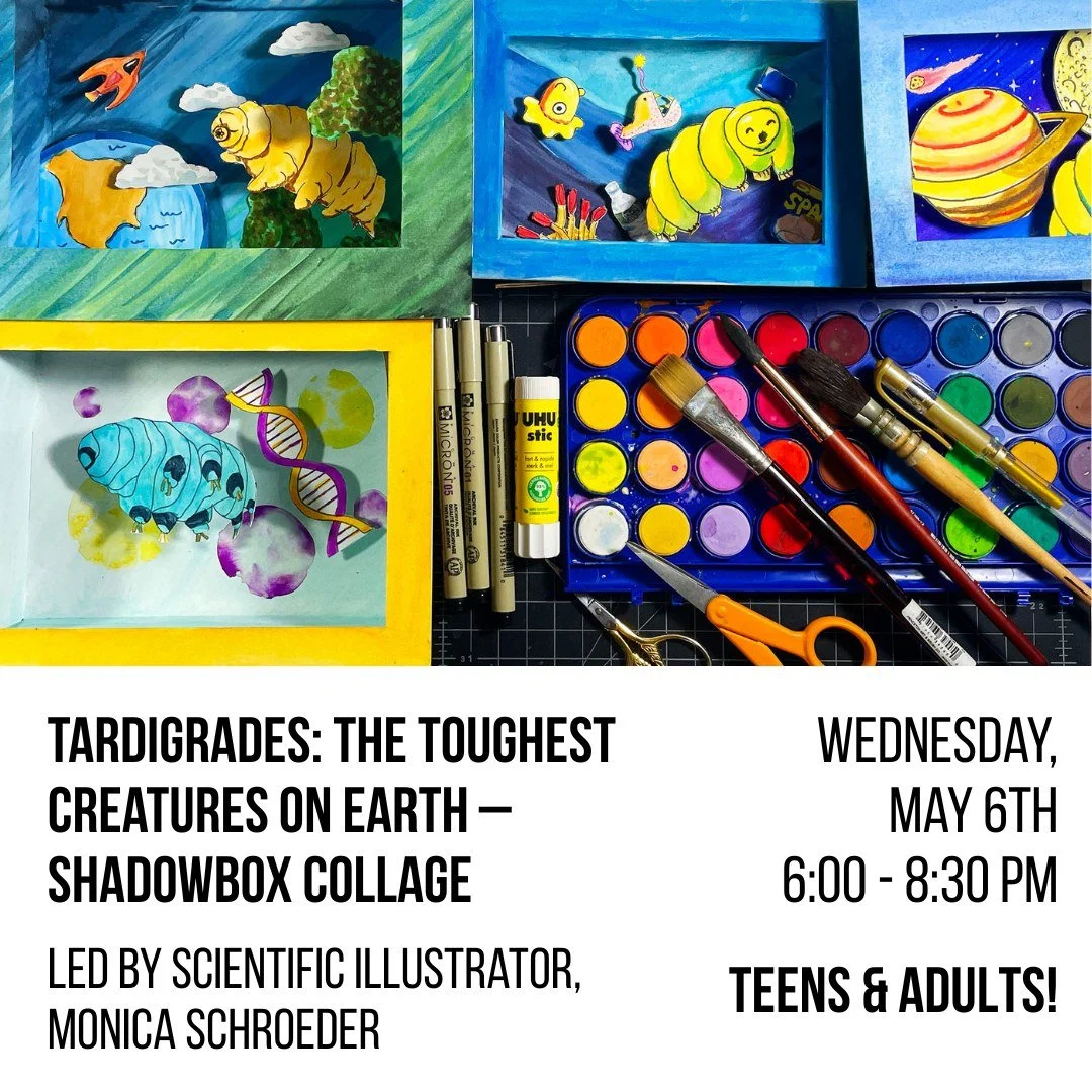 Join scientific illustrator Monica Schroeder for an adults-only, beginner-friendly shadowbox collage workshop celebrating the wonders of microfauna&mdash;especially the nearly indestructible tardigrade!

Explore the fascinating world of microscopic t