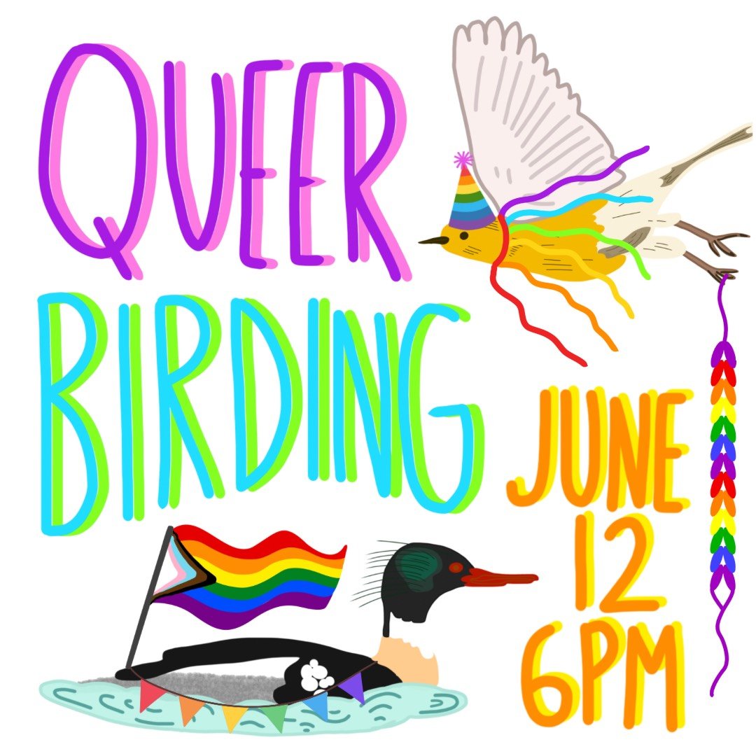 Queer Birding