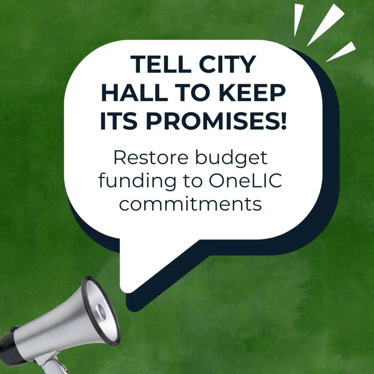 Tell City Hall to keep its promises and prioritize community needs in this year's budget!&nbsp;

Long Island City went through an over 2-year process as part of the OneLIC rezoning plan. In order for it to pass, the City made commitments to the commu