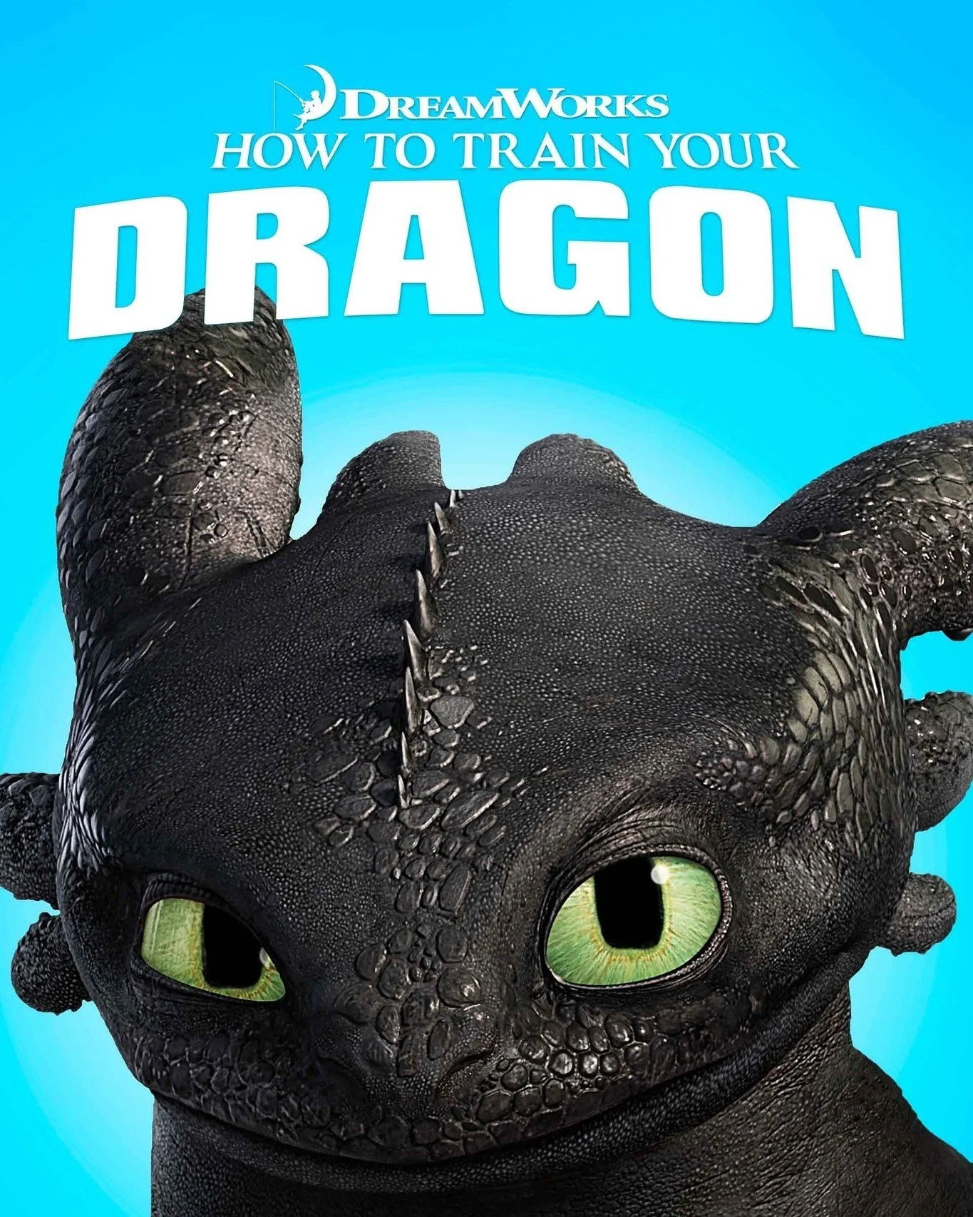 We're very excited to bring the original animated version of How to Train Your Dragon to our park movie series on September 5th!

This movie is generously sponsored by @shibleydaycamp. We're so grateful to Shibley Day Camp who have been supporting ou