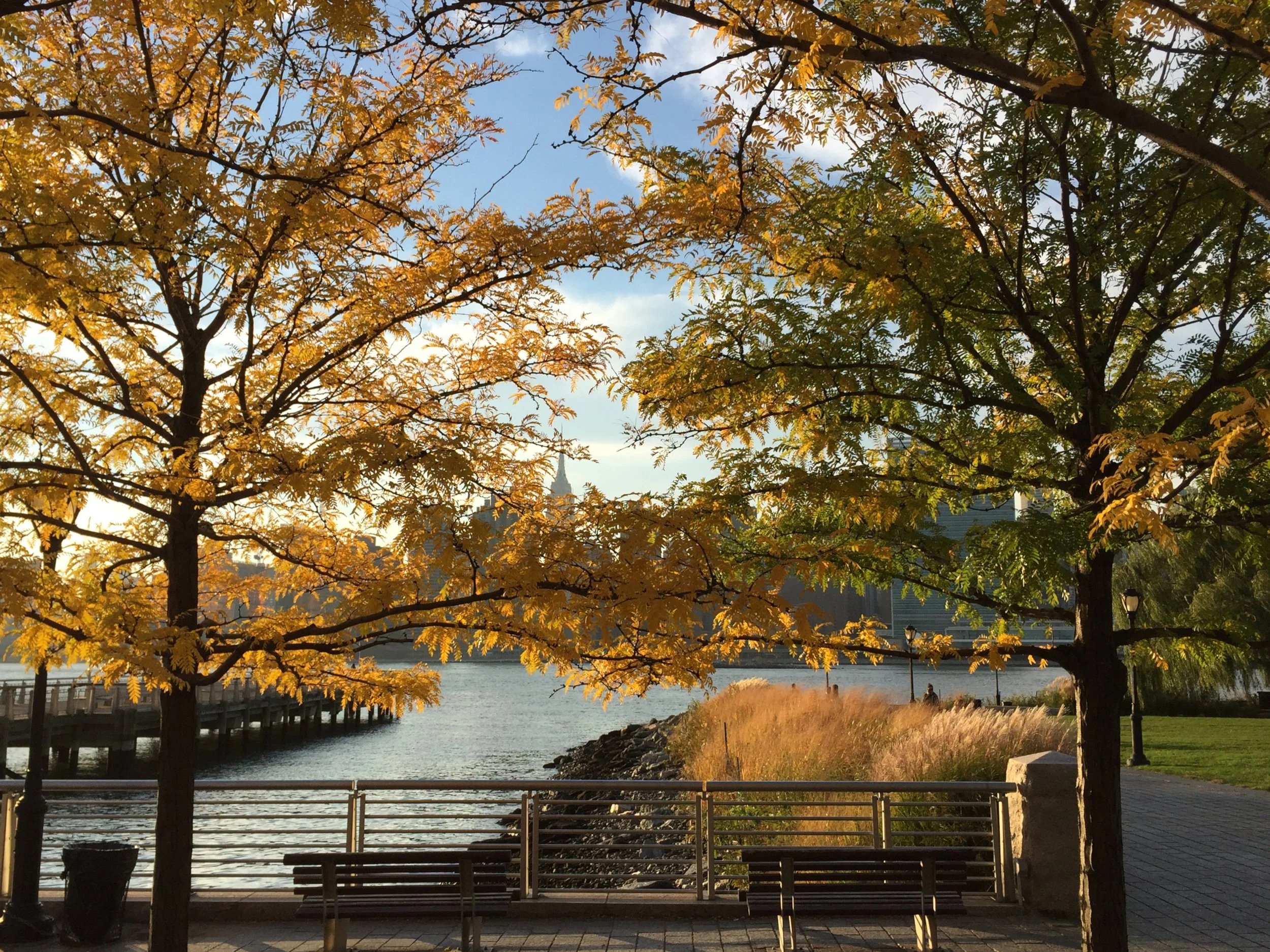 Fall Birding with Gabriel Willow