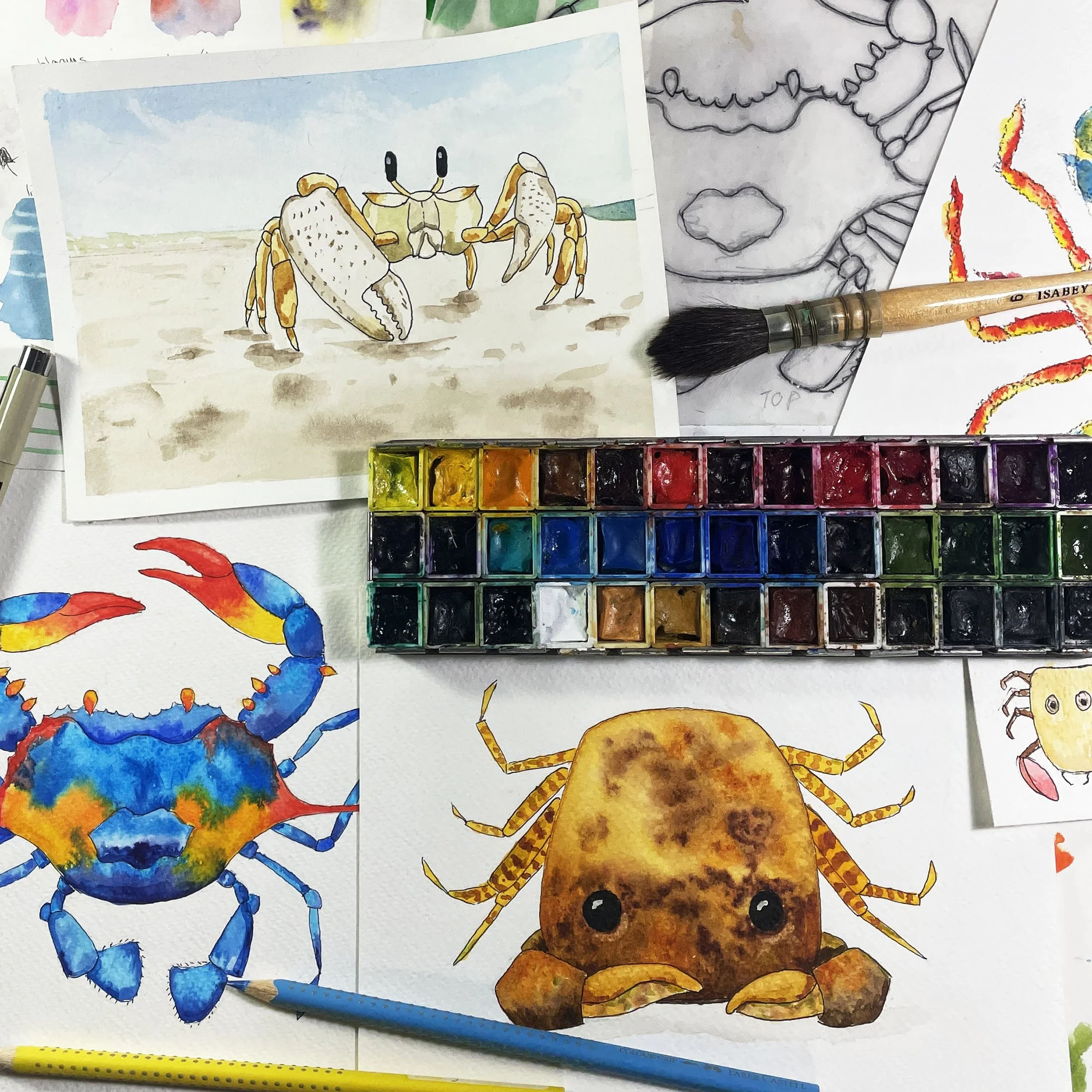 Crabs: Ink & Color