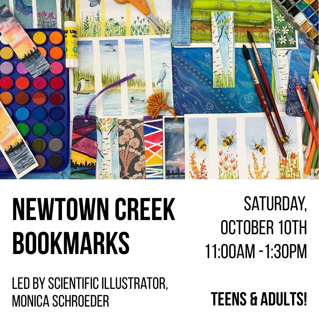 Join scientific illustrator, Monica Schroeder, for Hunters Point Park &amp; Newtown Creek: History &amp; Wildlife Watercolor Bookmarks!

Unwind and explore your creativity in this beginner-friendly, guided art class designed for adults. Newtown Creek