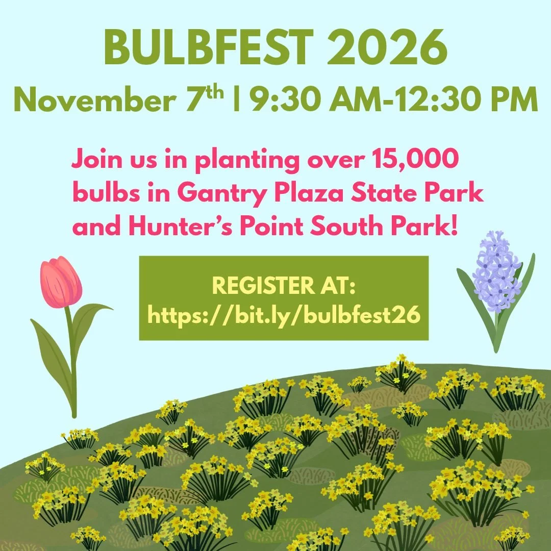 Join us for the 12th Annual LIC Bulbfest on Saturday, Nov. 7th!

On this day we will plant over 15,000 bulbs in Gantry Plaza State Park and Hunters Point South Park which will bloom and beautify our parks in the spring. 

We will provide all necessar