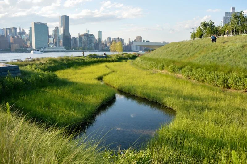 Wetland Grasses Walk