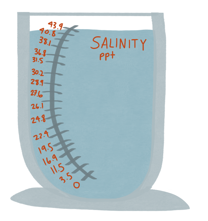 Water Quality Testing (Draft) — Hunters Point Parks Conservancy
