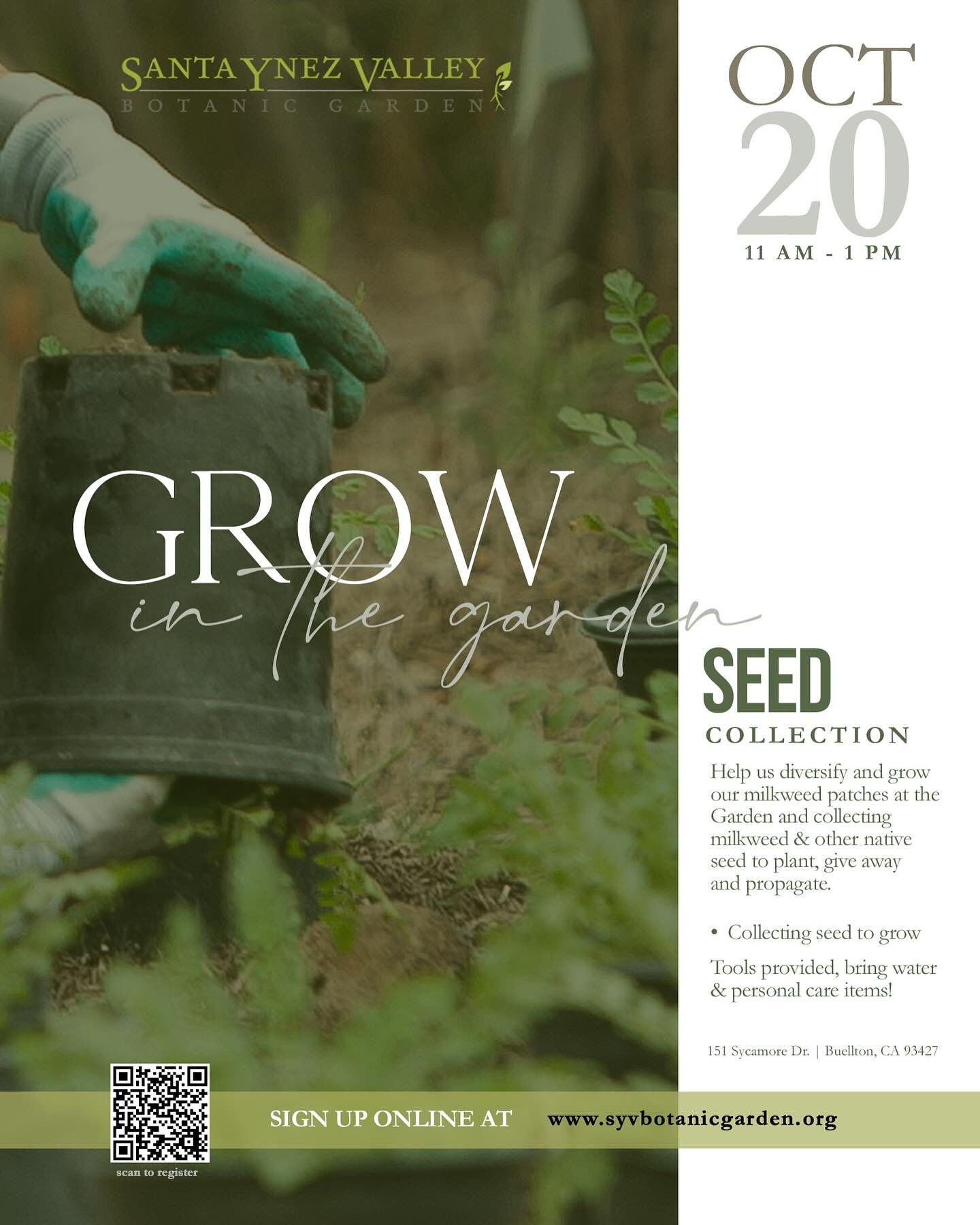 Help us diversify and grow our milkweed and other native plants to support our pollinators and wildlife. We will be collecting seed from within the garden to plant, give away and propagate, and you&rsquo;ll be able to take some home with you as well 